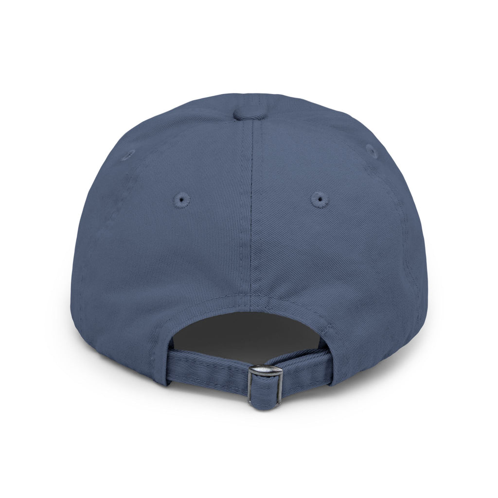 Freedom Defender Unisex Distressed Cap