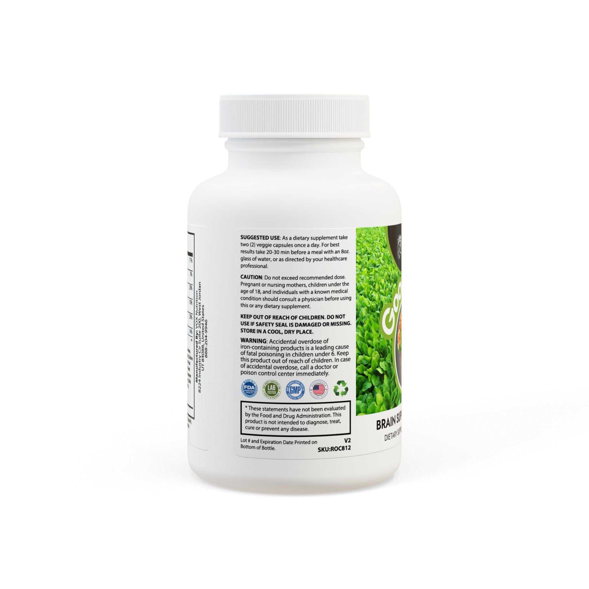 SETEPENRA Goodstuff Brain Support Complex Supplement (60 Capsules)