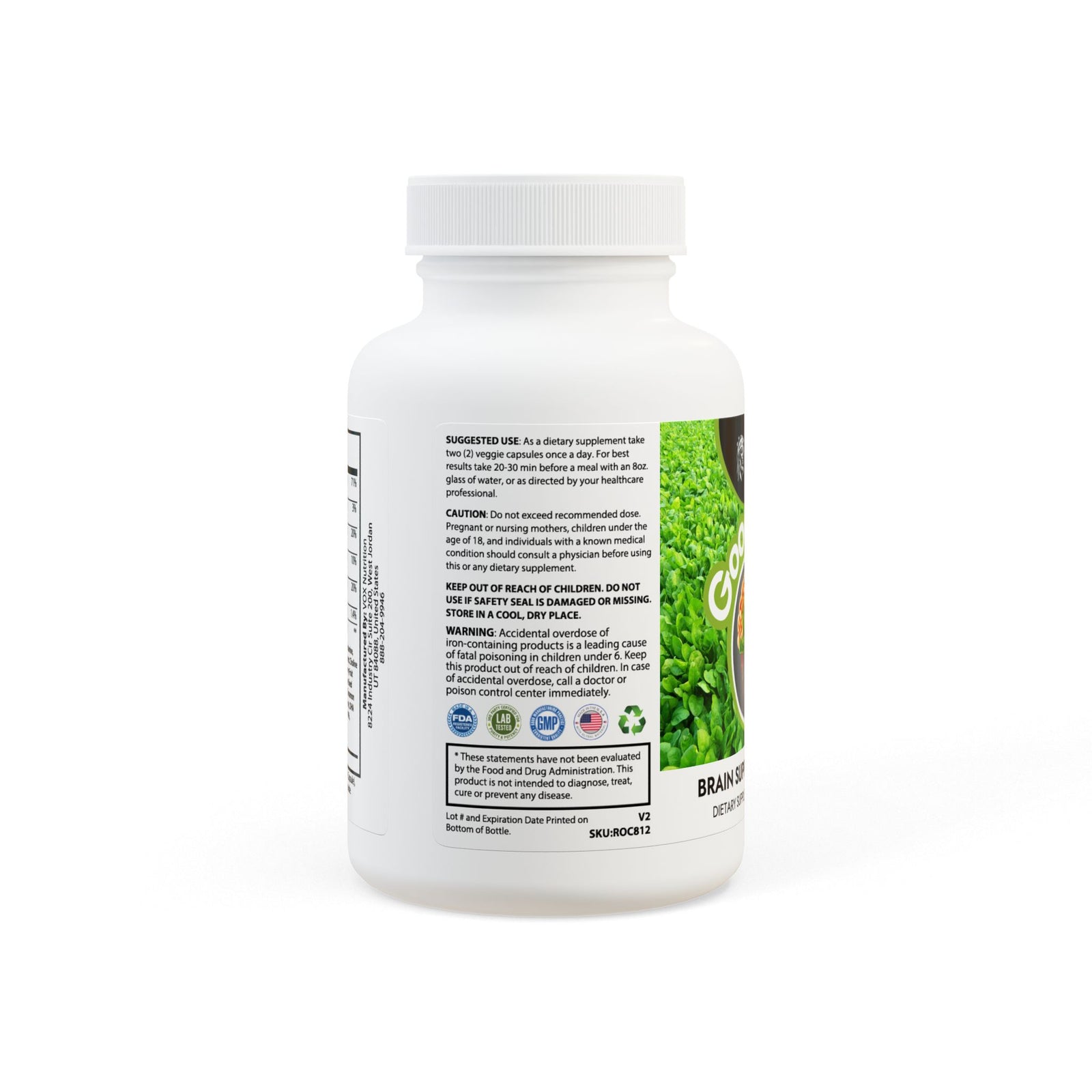 SETEPENRA Goodstuff Brain Support Complex Supplement (60 Capsules)