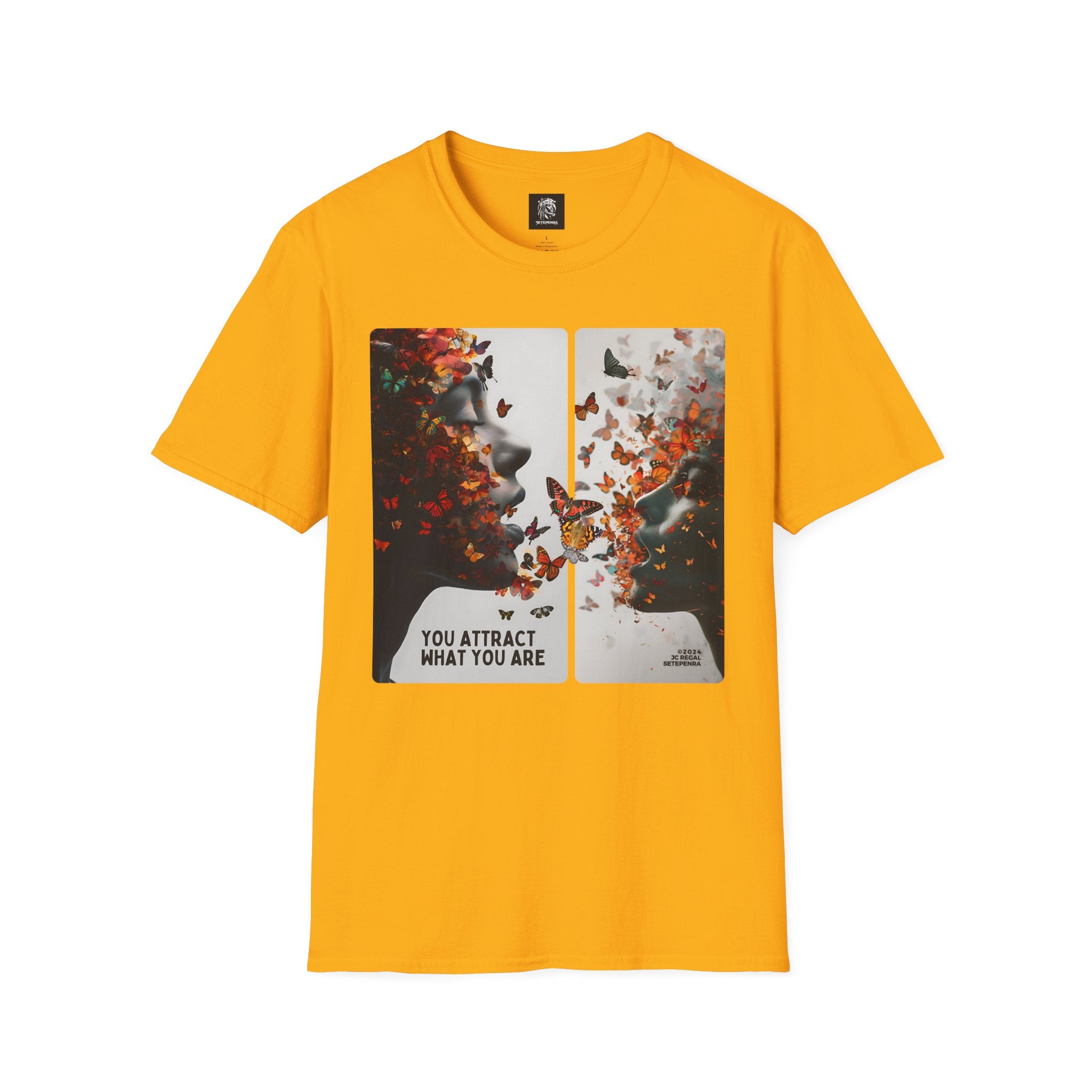 You Attract What You Are (1st Edition) Unisex Softstyle T-Shirt SETEPENRA T-Shirt.