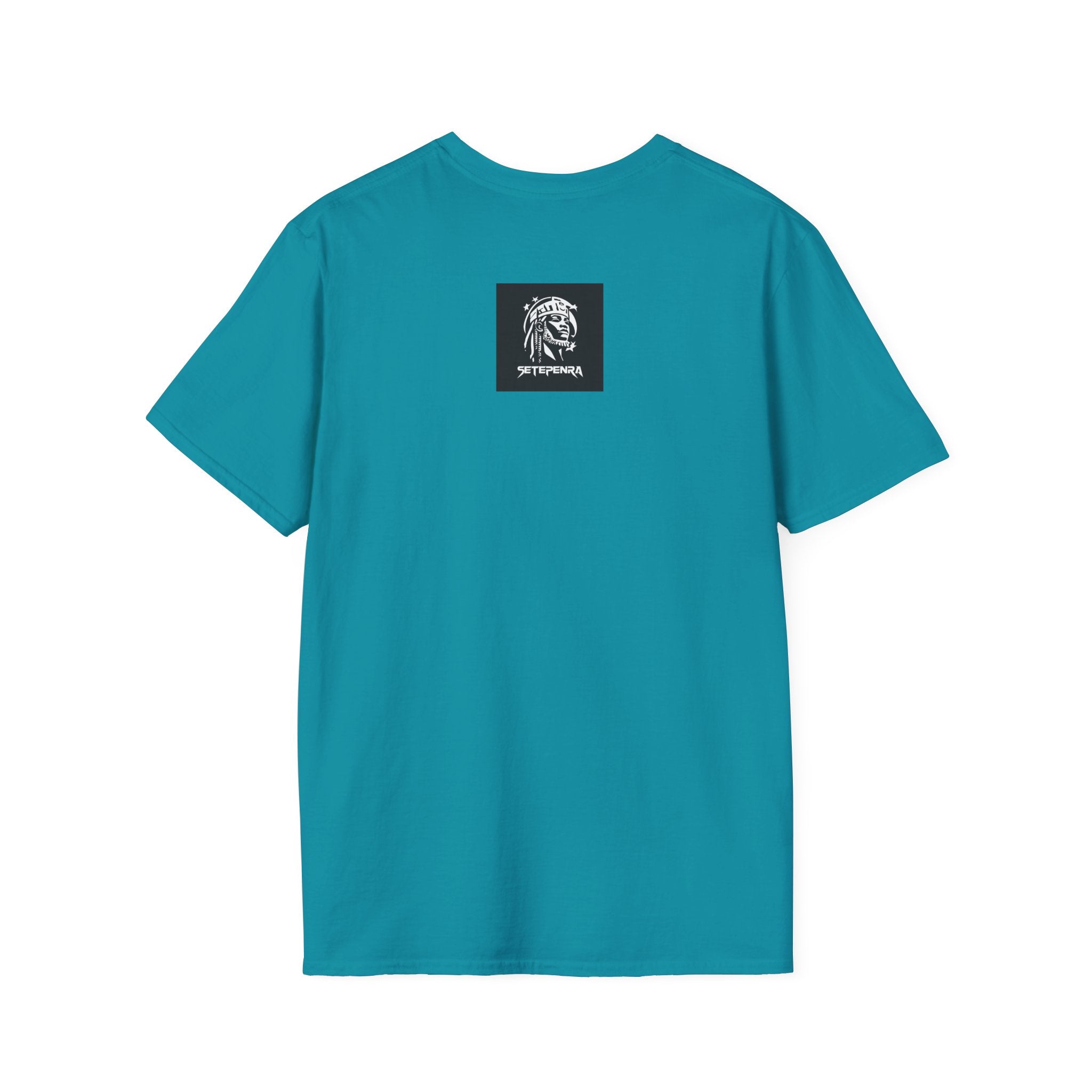 You Attract What You Are (1st Edition) Unisex Softstyle T-Shirt