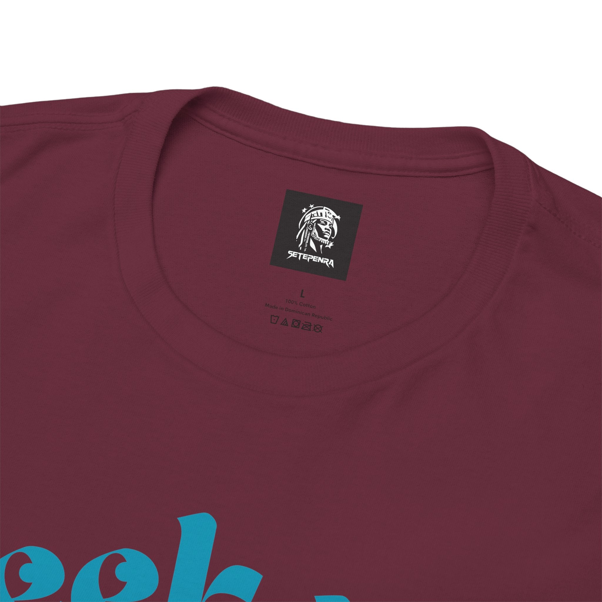 Seek Not Elsewhere (Aqua Edition) Unisex Heavy Cotton Tee