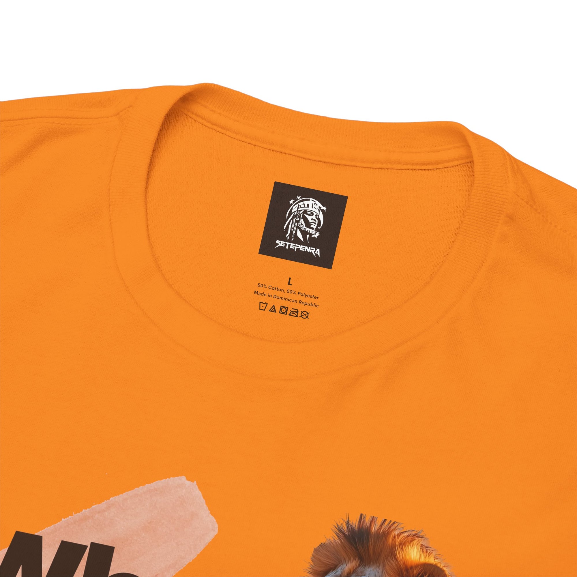 What You Focus On You Become Unisex Heavy Cotton Tee
