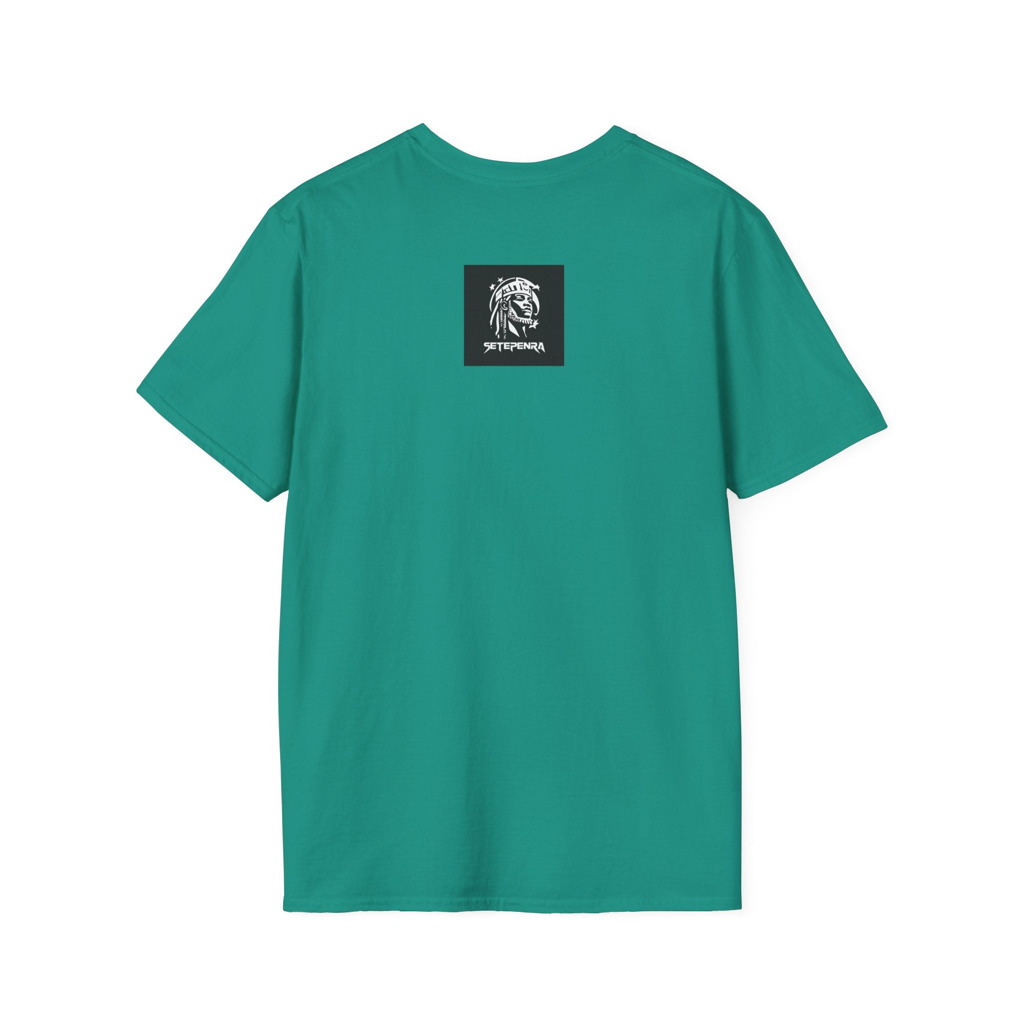 You Attract What You Are (1st Edition) Unisex Softstyle T-Shirt