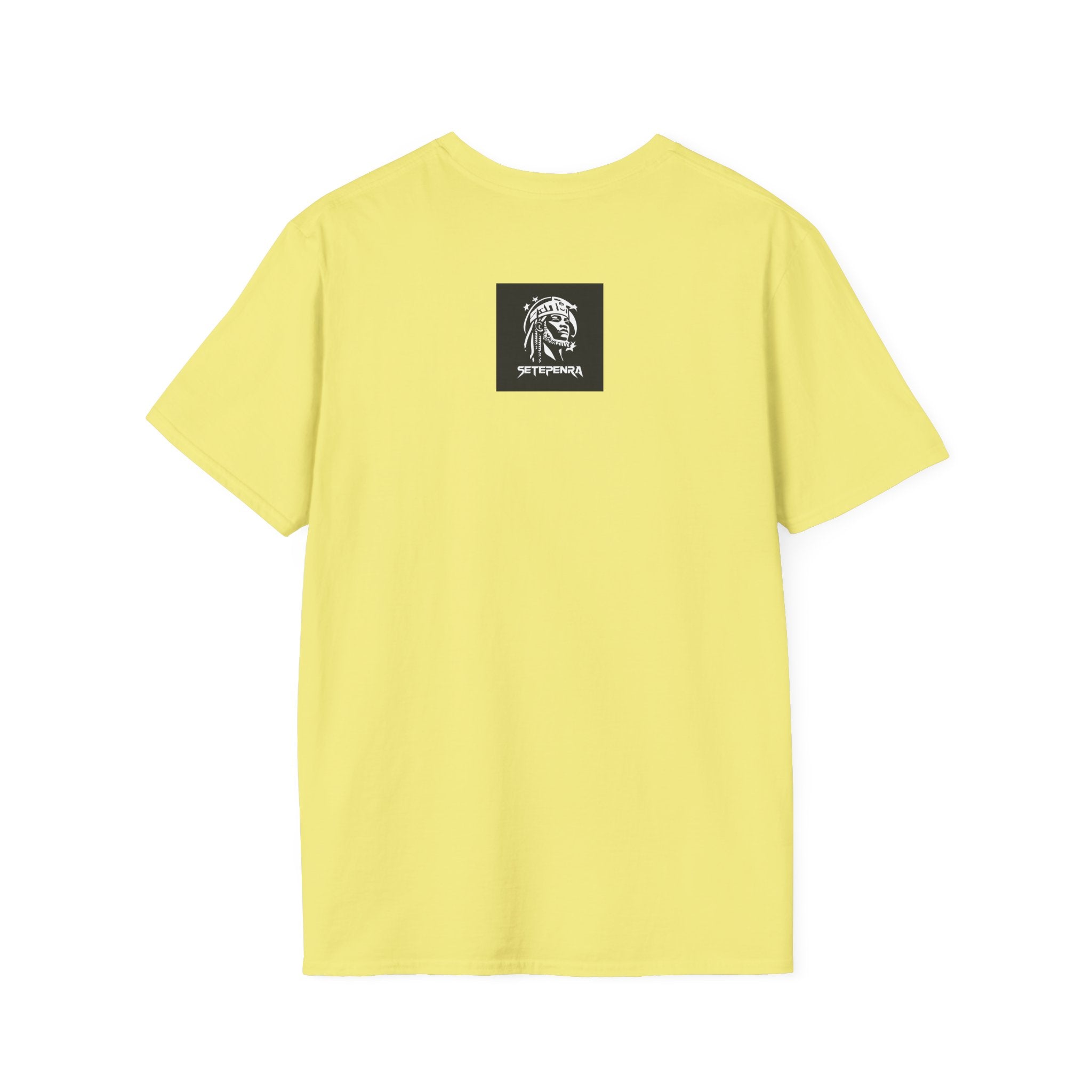 You Attract What You Are (2nd Edition) Unisex Softstyle T-Shirt