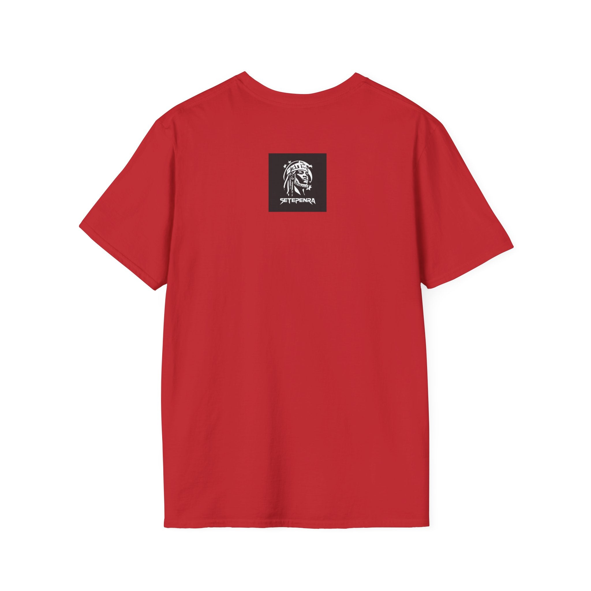 You Attract What You Are (2nd Edition) Unisex Softstyle T-Shirt