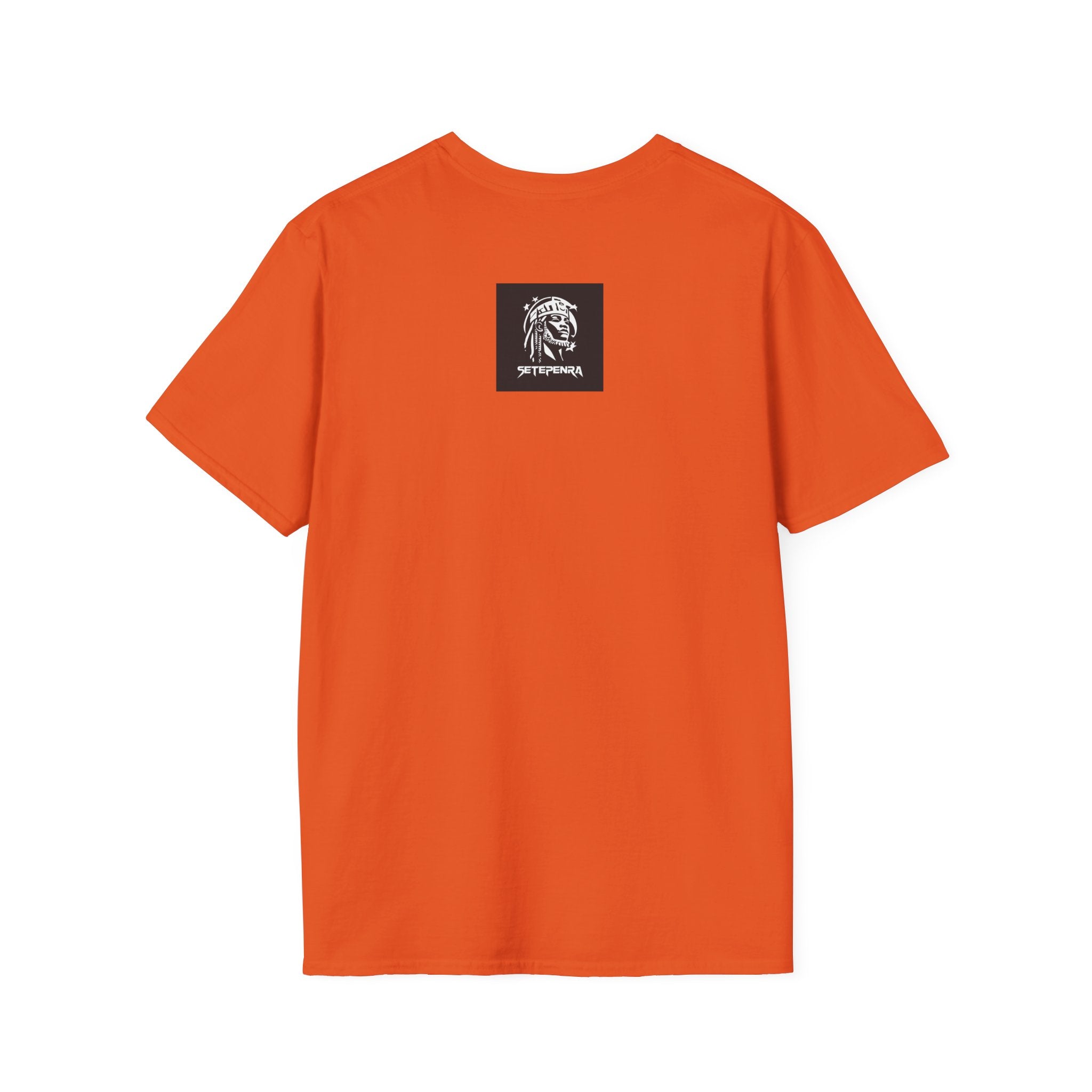 You Attract What You Are (1st Edition) Unisex Softstyle T-Shirt