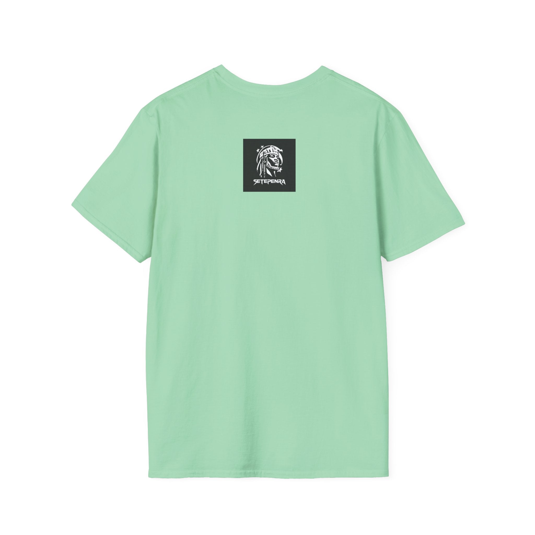 You Attract What You Are (2nd Edition) Unisex Softstyle T-Shirt