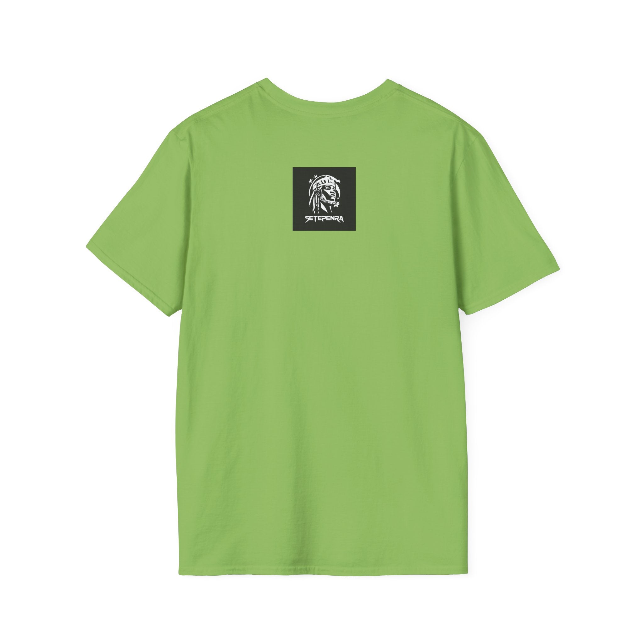 You Attract What You Are (2nd Edition) Unisex Softstyle T-Shirt