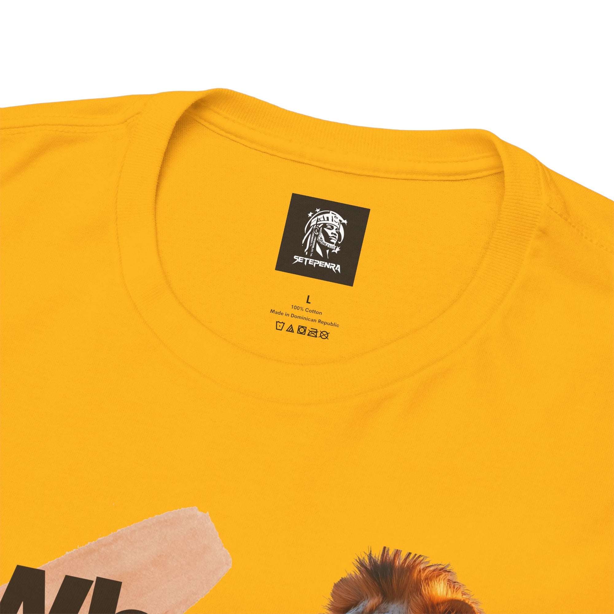 What You Focus On You Become Unisex Heavy Cotton Tee