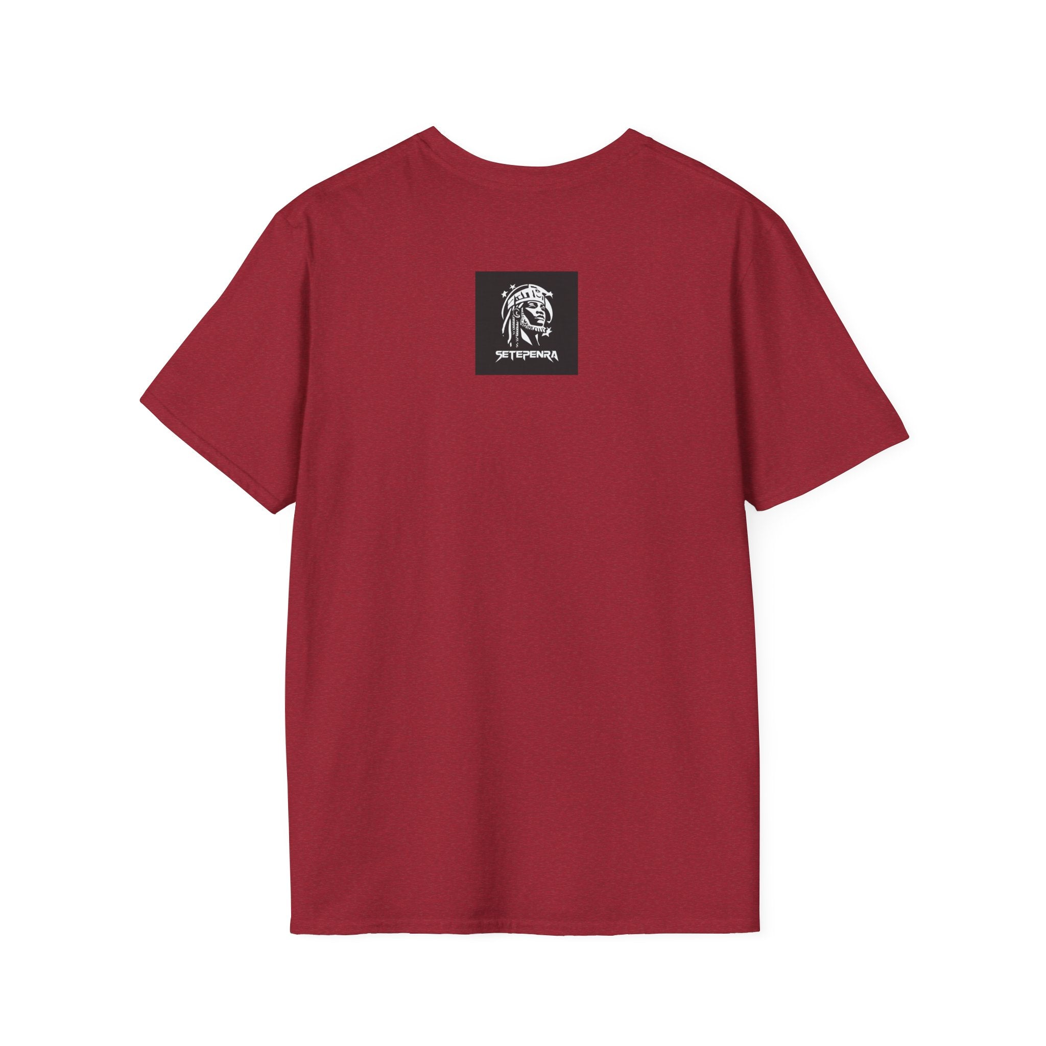 You Attract What You Are (1st Edition) Unisex Softstyle T-Shirt