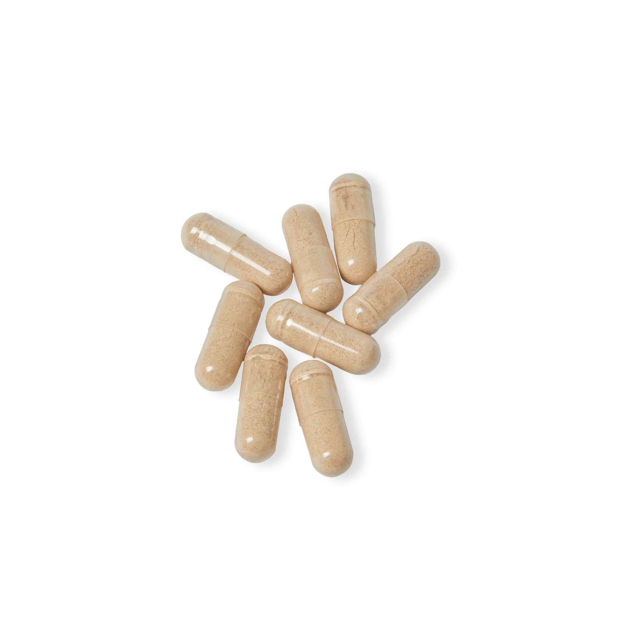 SETEPENRA Goodstuff Brain Support Complex Supplement (60 Capsules)