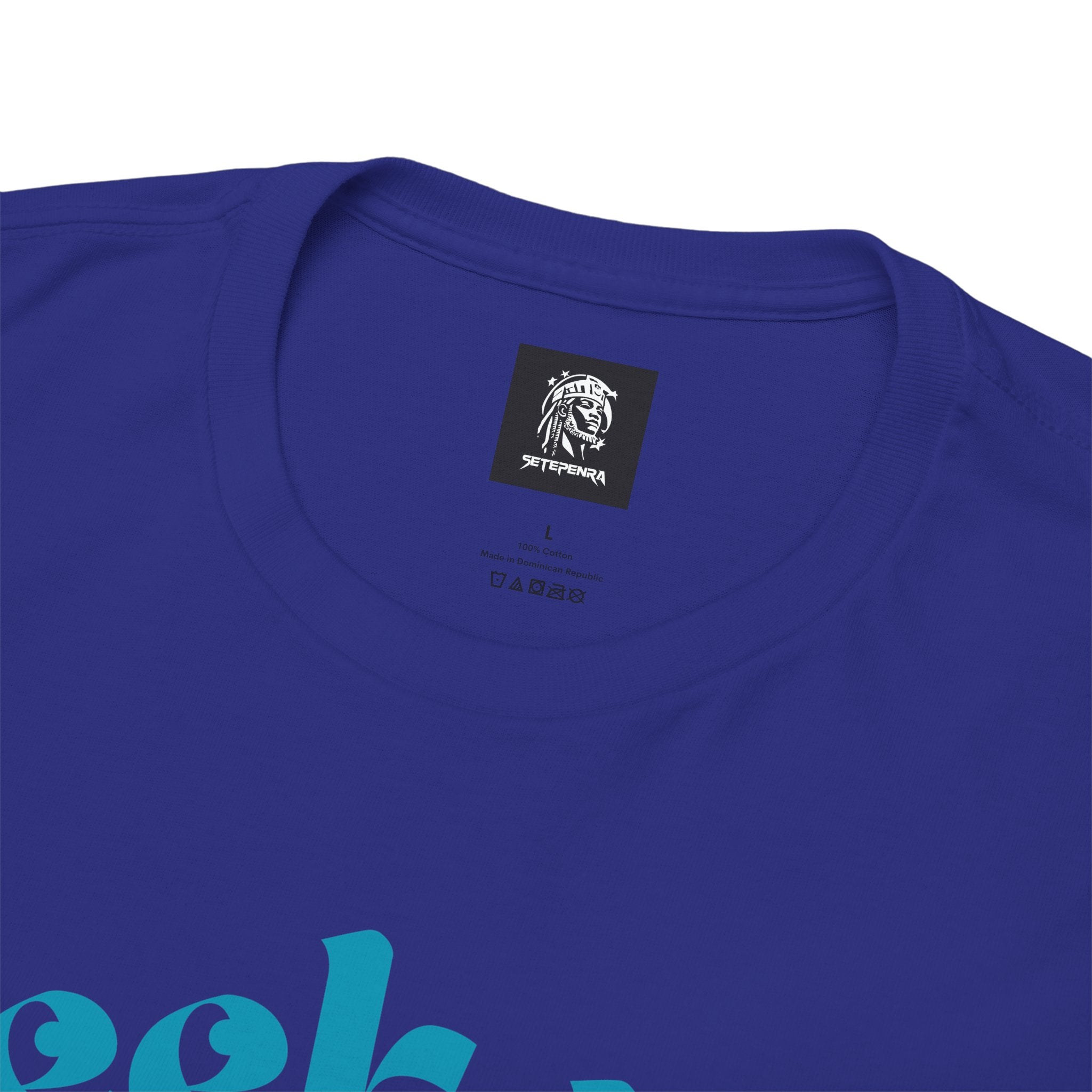 Seek Not Elsewhere (Aqua Edition) Unisex Heavy Cotton Tee