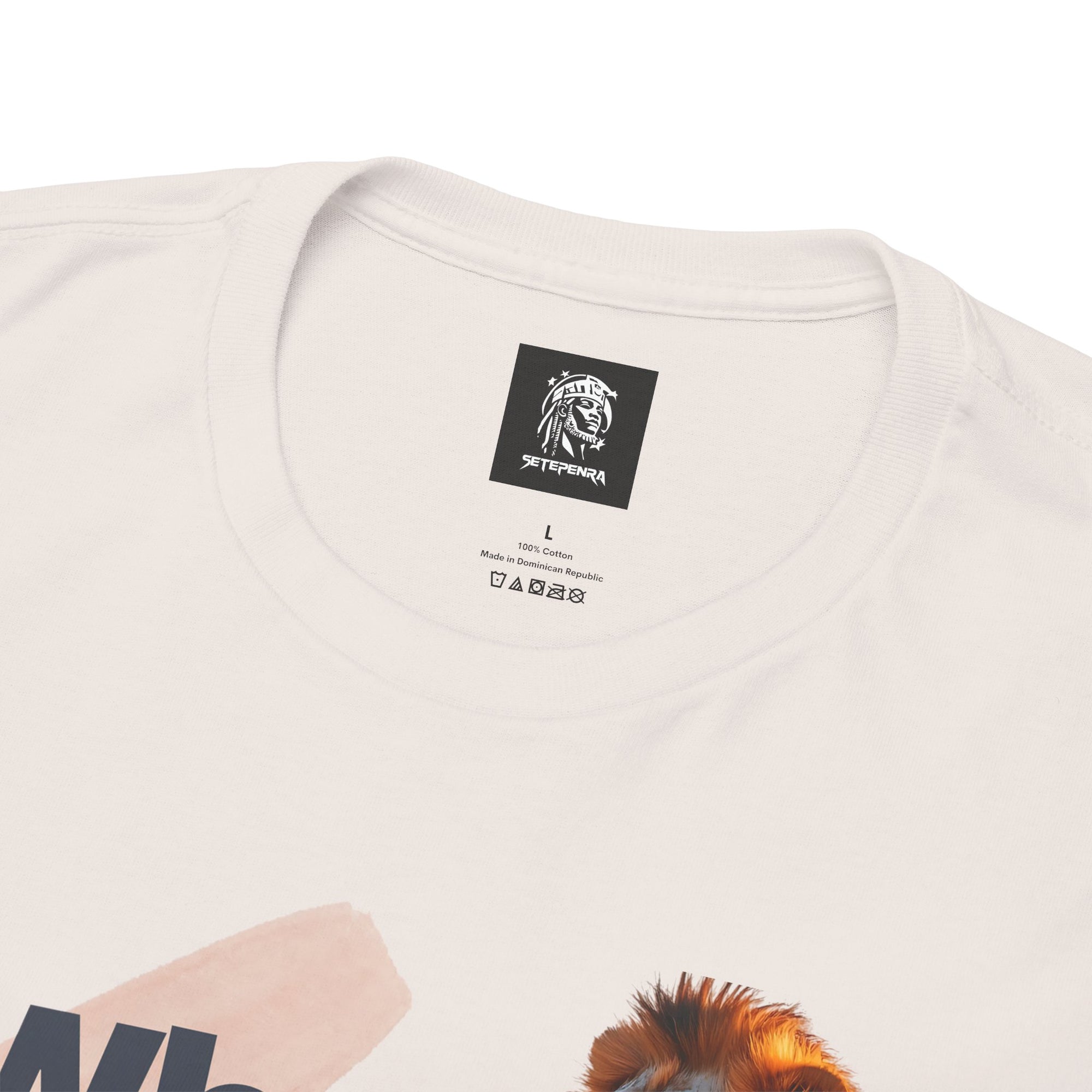 What You Focus On You Become Unisex Heavy Cotton Tee