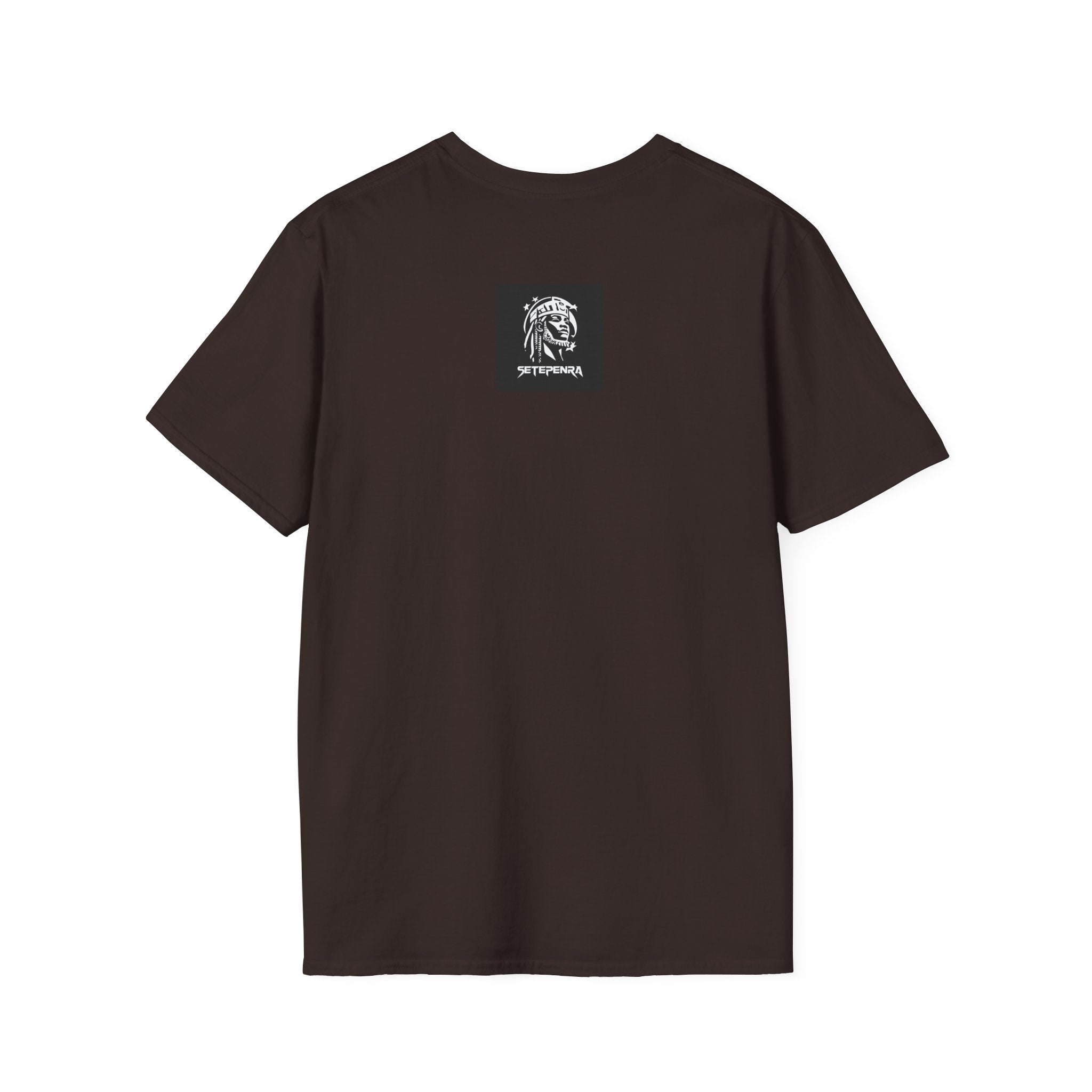 You Attract What You Are (1st Edition) Unisex Softstyle T-Shirt