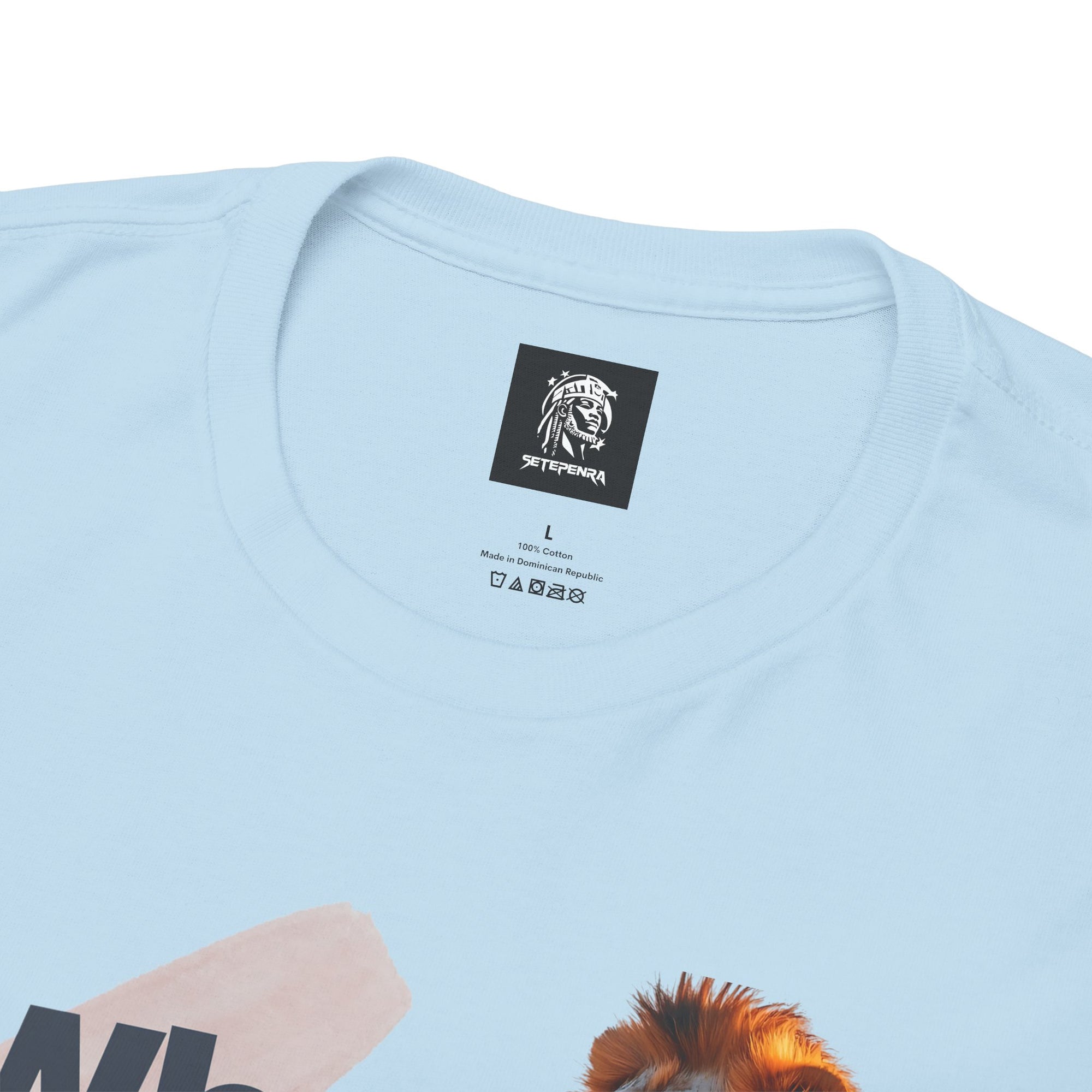 What You Focus On You Become Unisex Heavy Cotton Tee