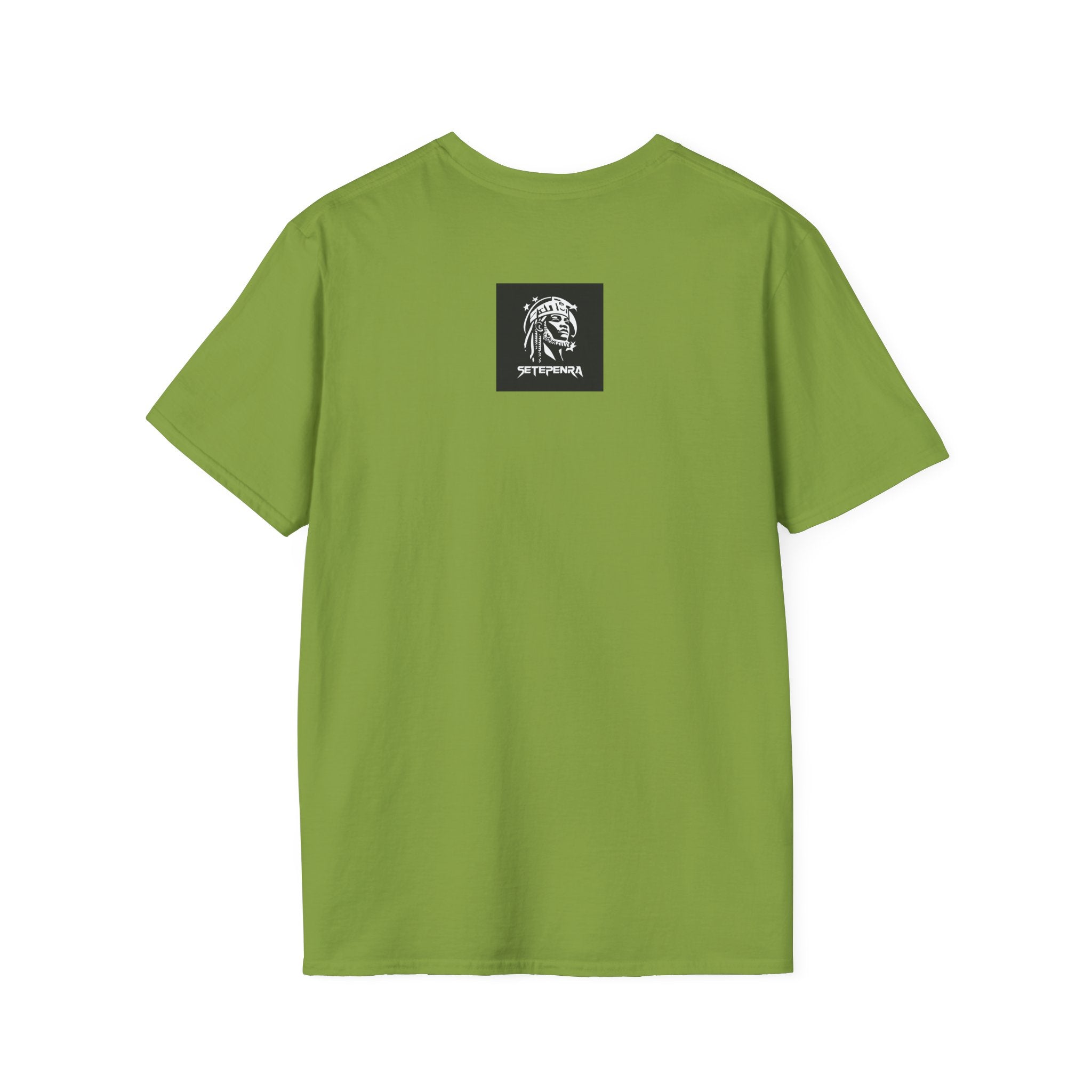 You Attract What You Are (1st Edition) Unisex Softstyle T-Shirt