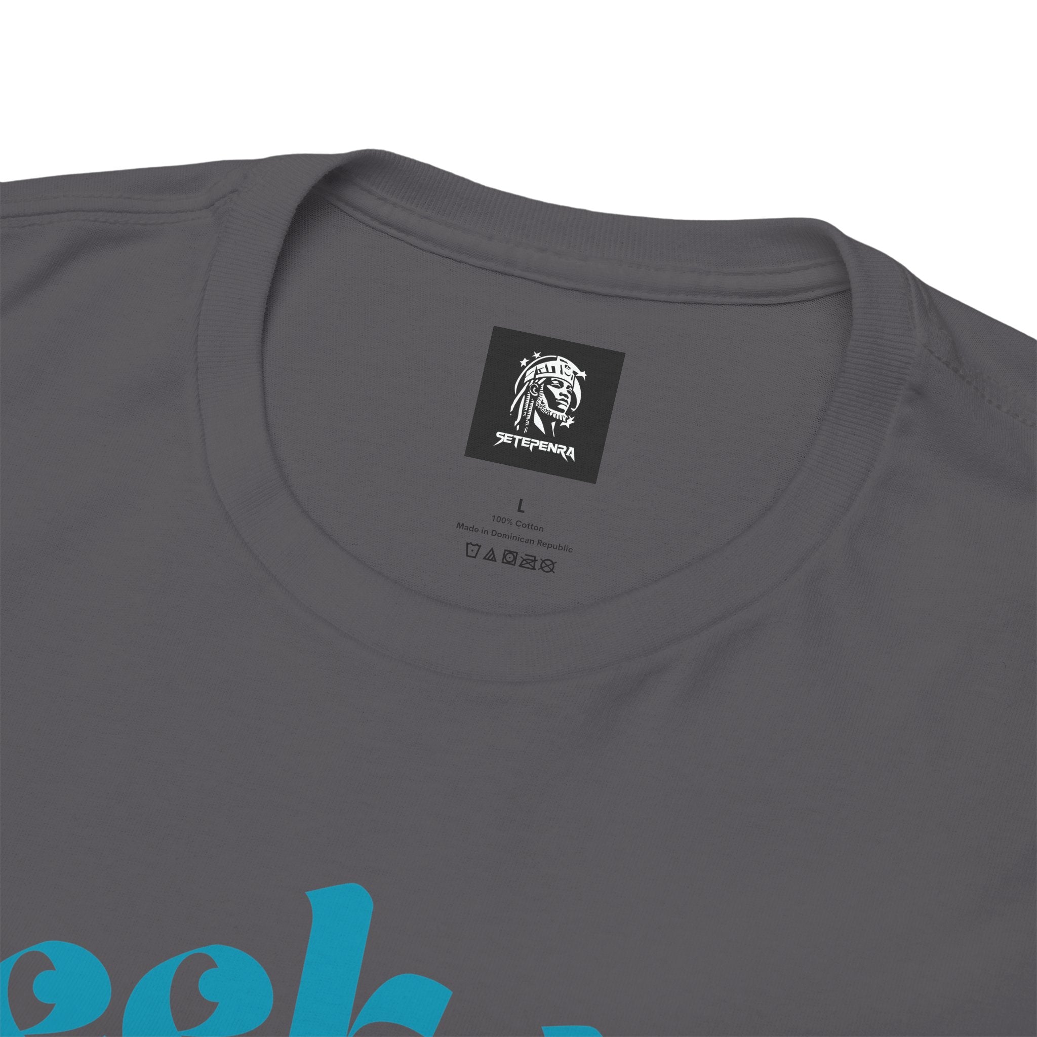 Seek Not Elsewhere (Aqua Edition) Unisex Heavy Cotton Tee
