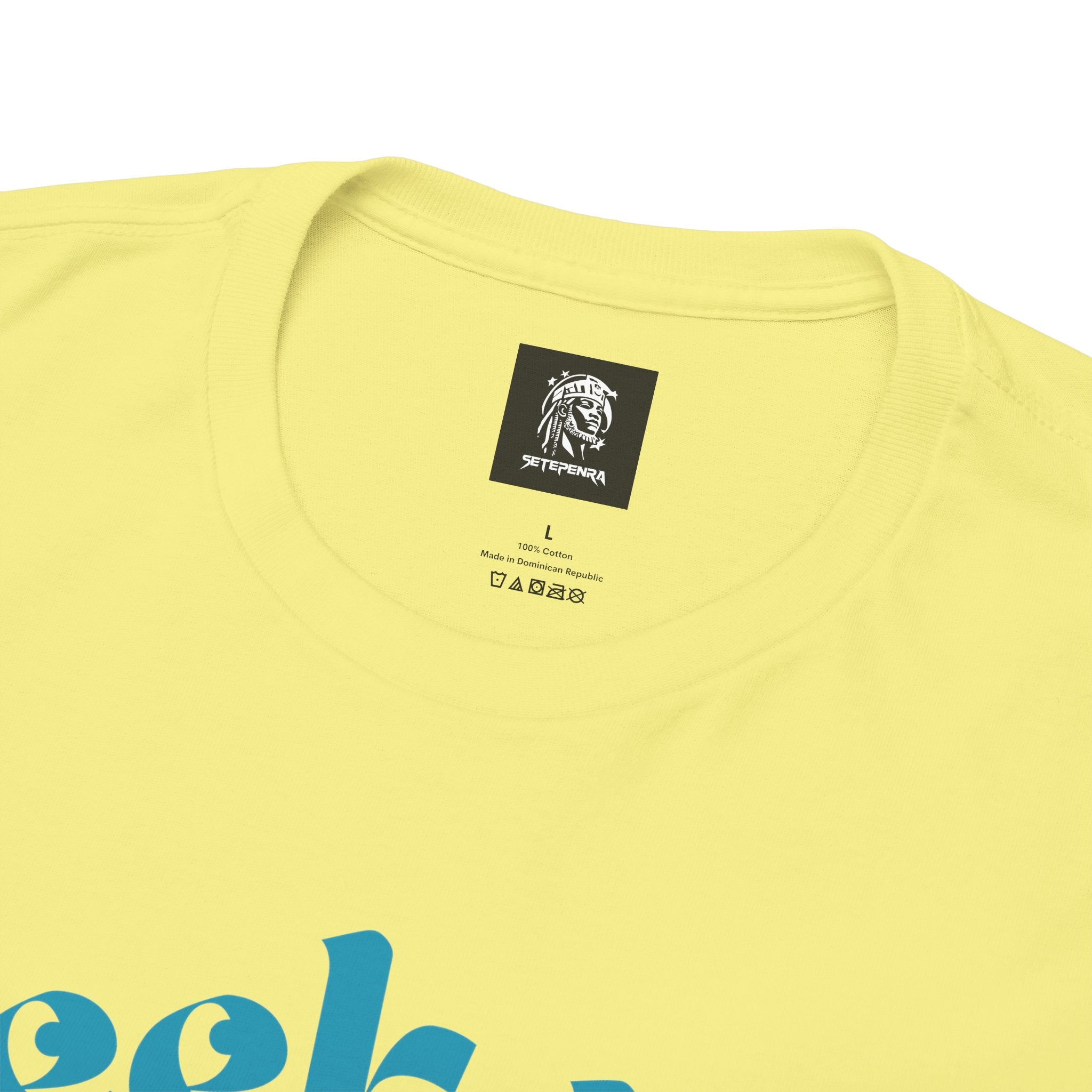 Seek Not Elsewhere (Aqua Edition) Unisex Heavy Cotton Tee