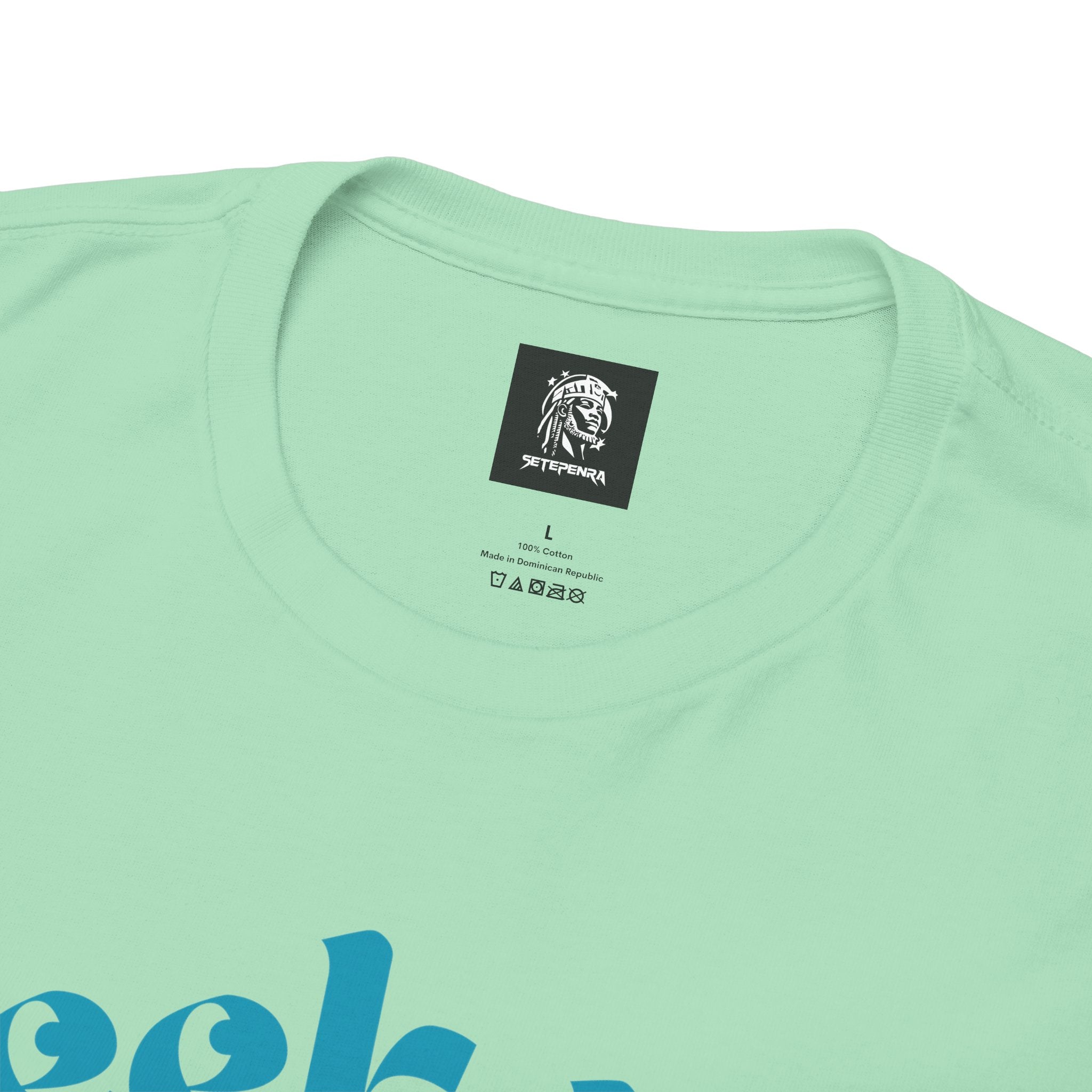 Seek Not Elsewhere (Aqua Edition) Unisex Heavy Cotton Tee