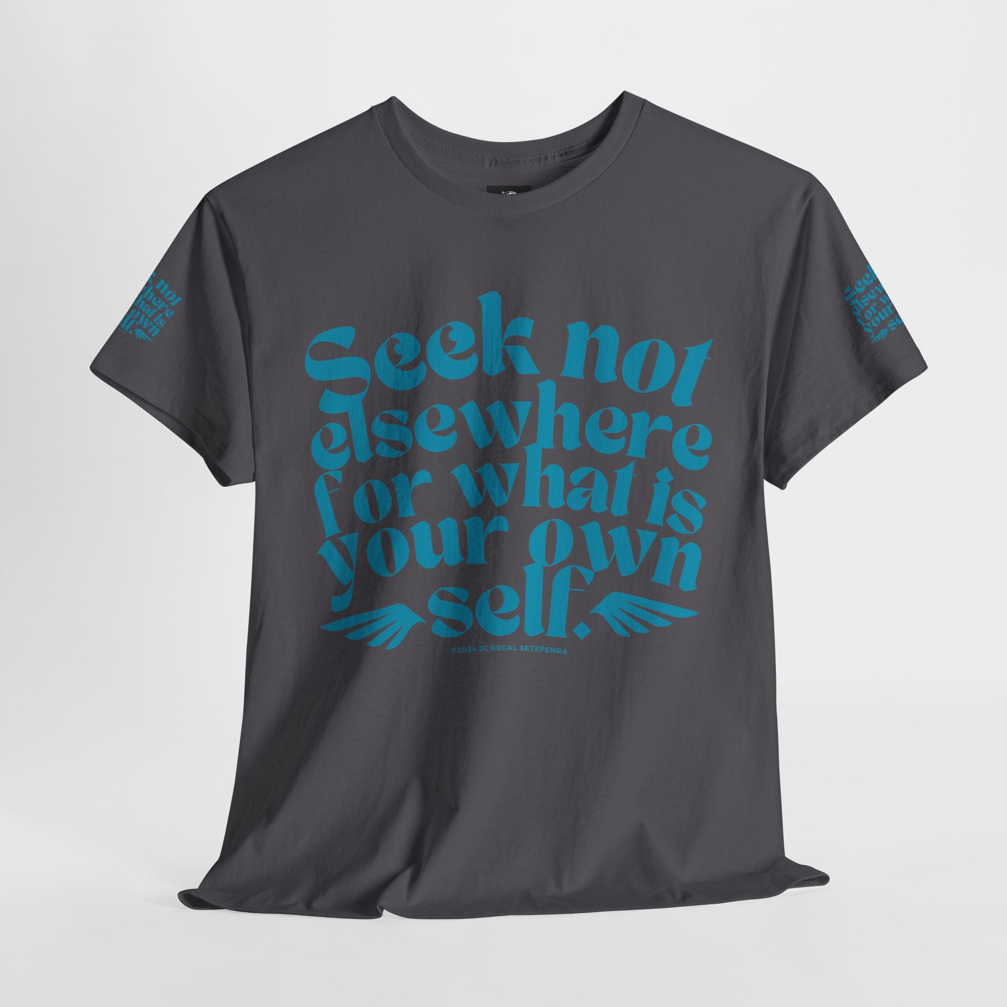 Seek Not Elsewhere (Aqua Edition) Unisex Heavy Cotton Tee