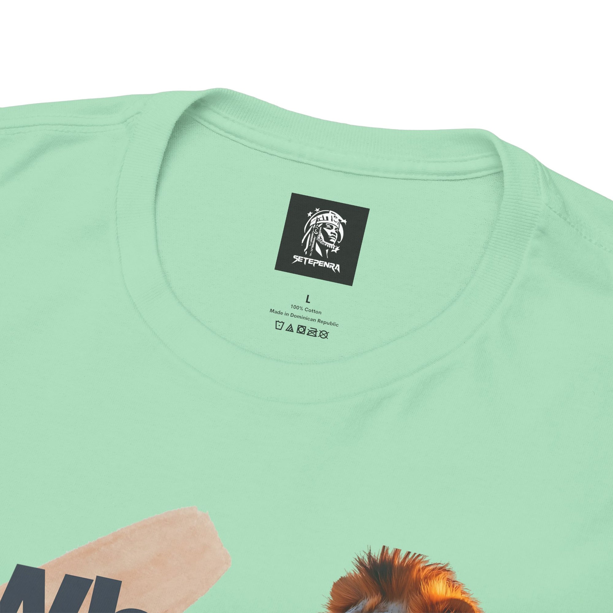 What You Focus On You Become Unisex Heavy Cotton Tee