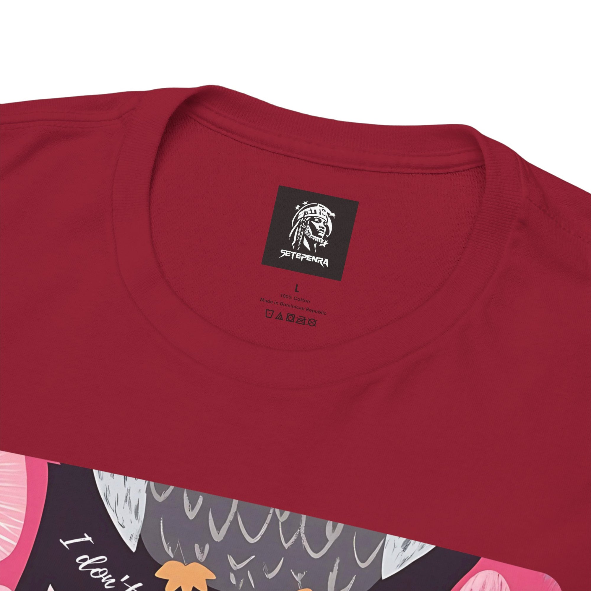 Don't Give A Hoot Unisex Heavy Cotton Tee