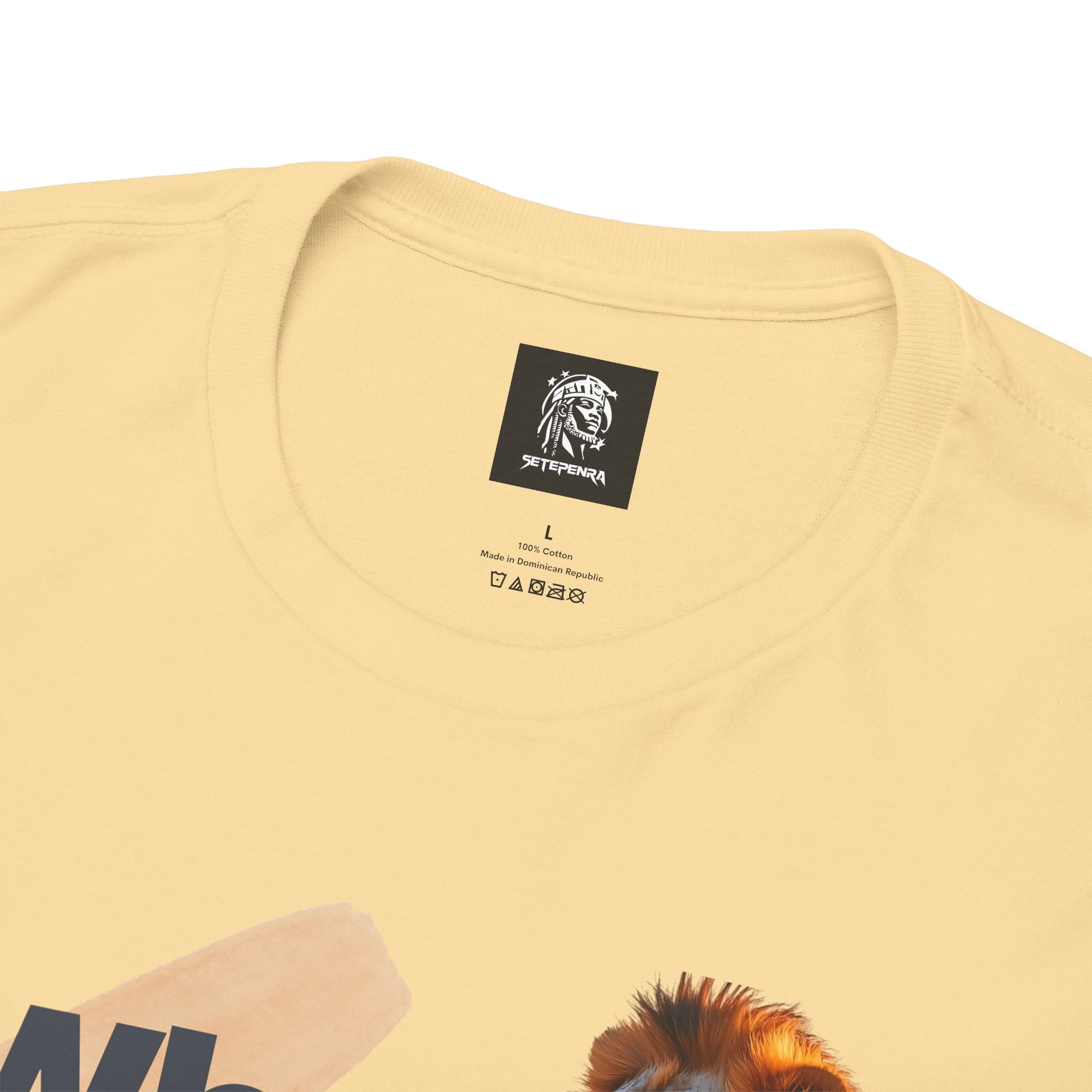 What You Focus On You Become Unisex Heavy Cotton Tee