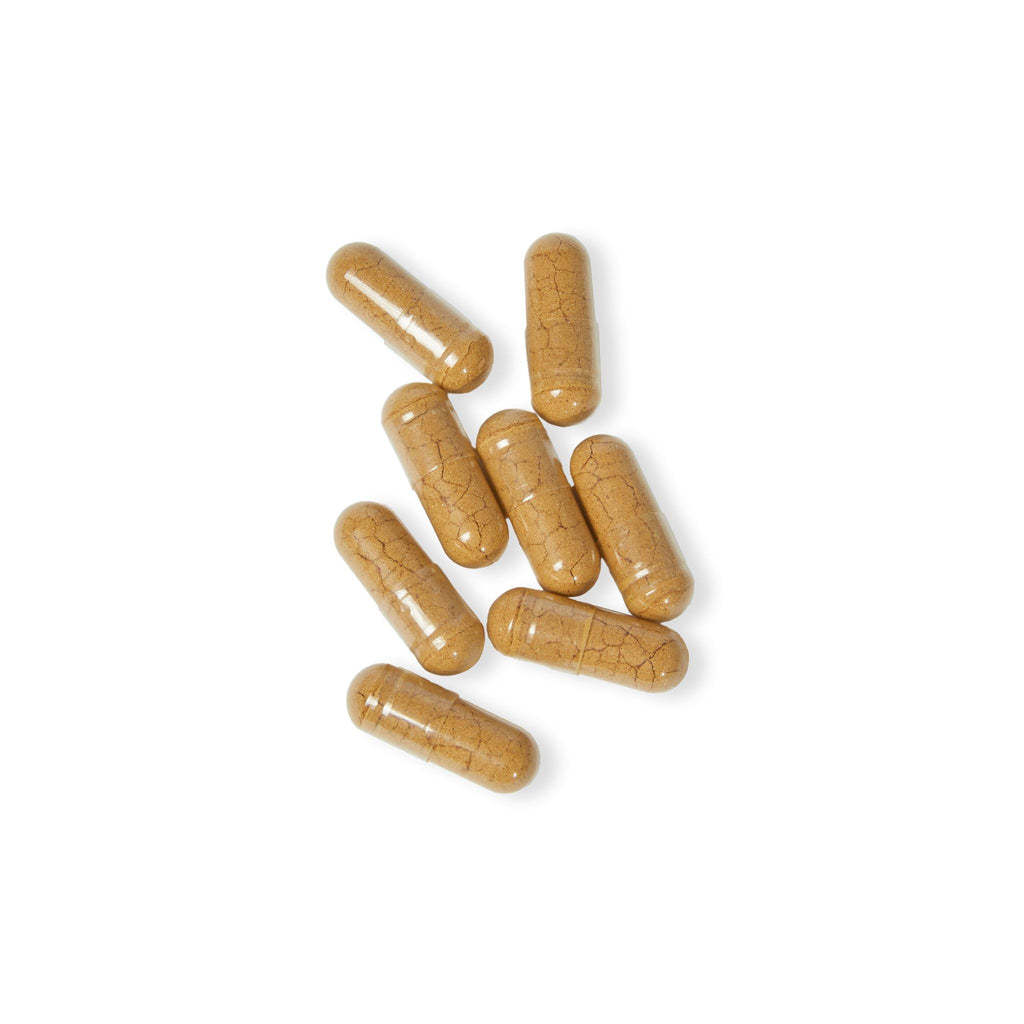 SETEPENRA Goodstuff Mushroom Blend Supplement (60 Capsules) SETEPENRA Food Supplements.