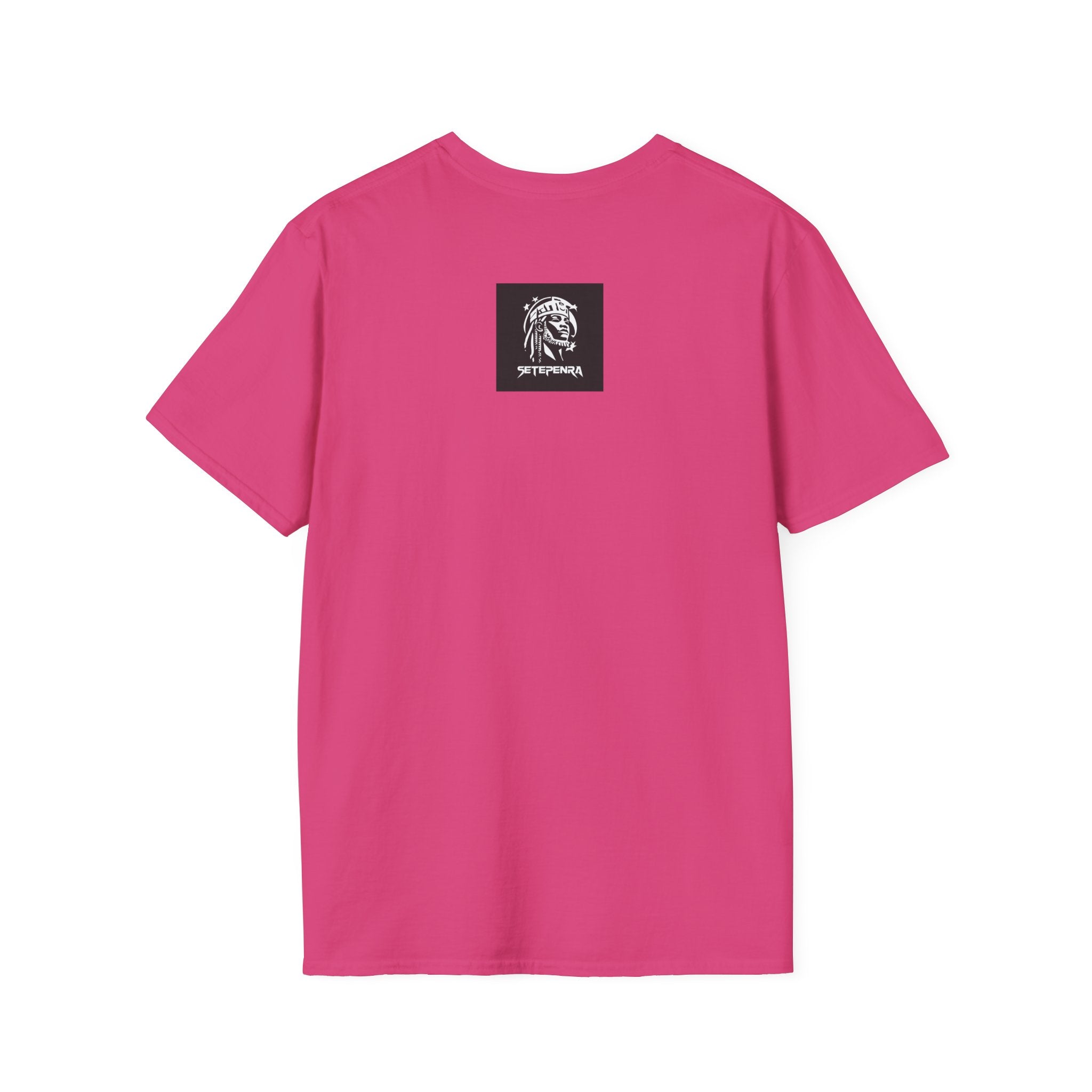 You Attract What You Are (2nd Edition) Unisex Softstyle T-Shirt