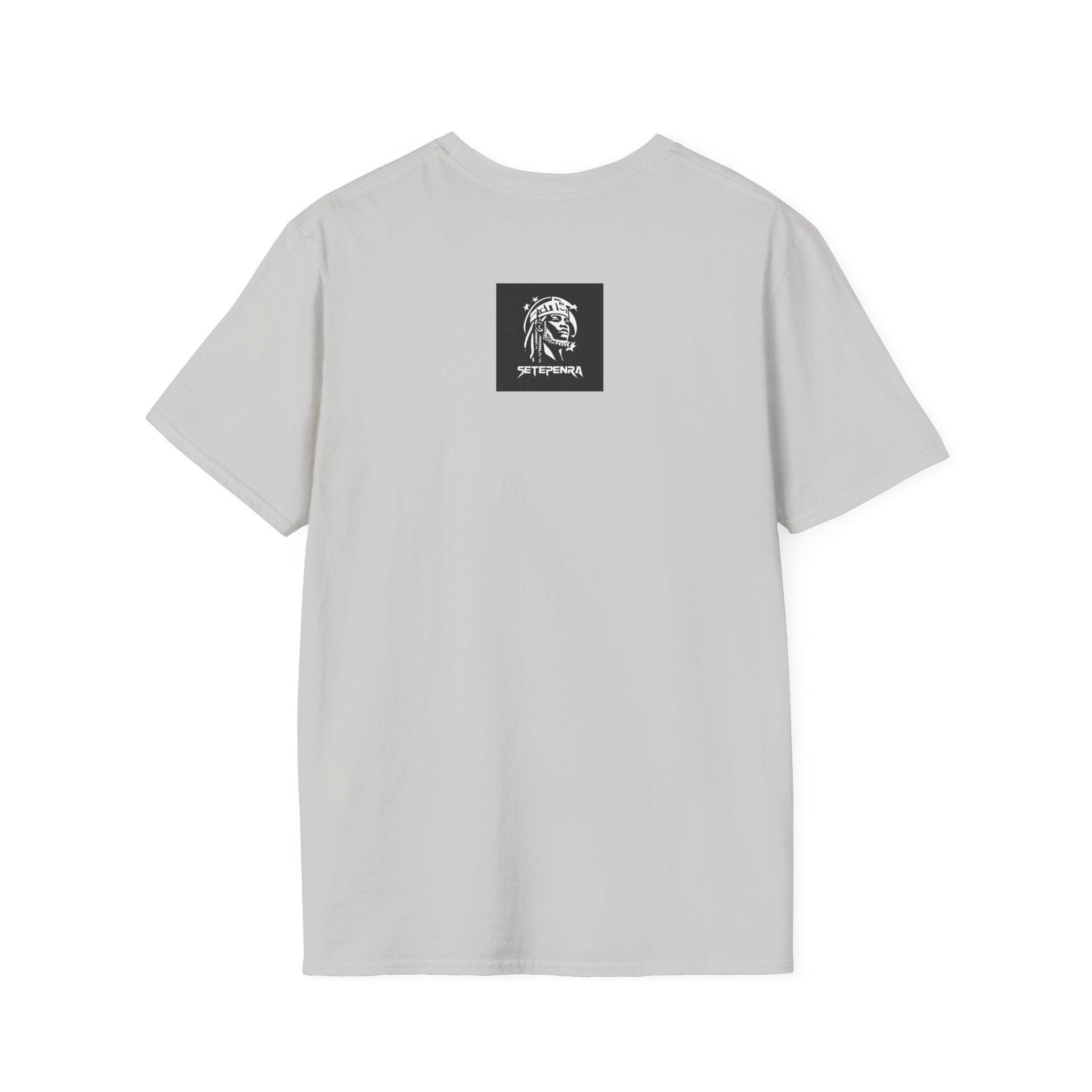 You Attract What You Are (1st Edition) Unisex Softstyle T-Shirt