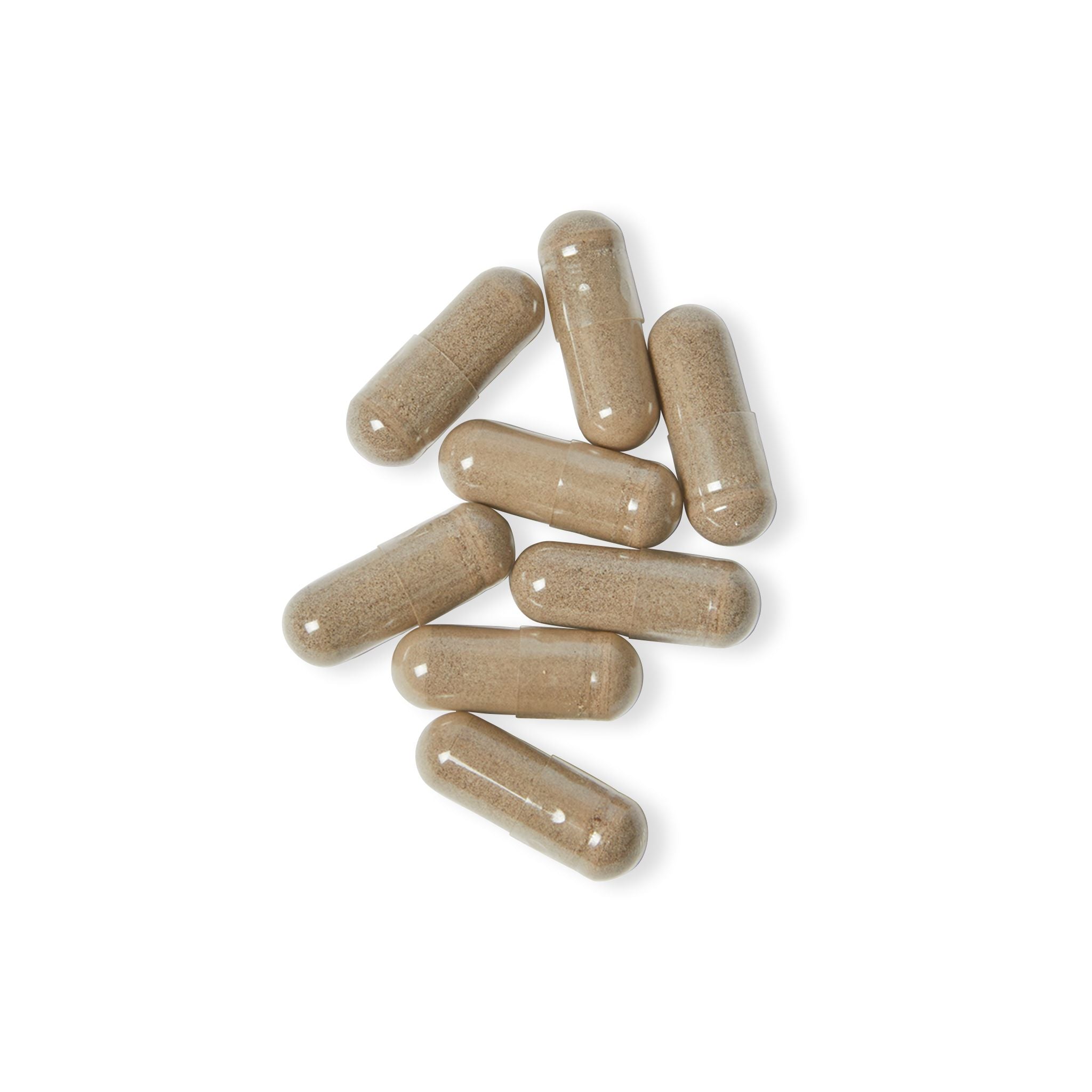 SETEPENRA Goodstuff Sea Moss Supplement (60 Capsules)