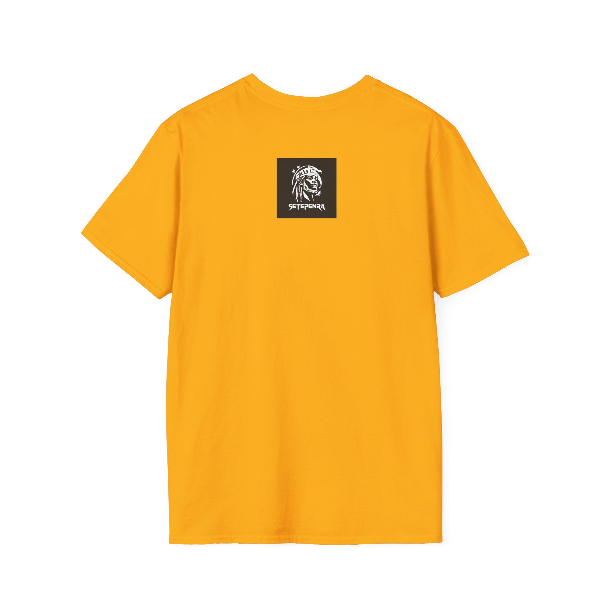 You Attract What You Are (1st Edition) Unisex Softstyle T-Shirt