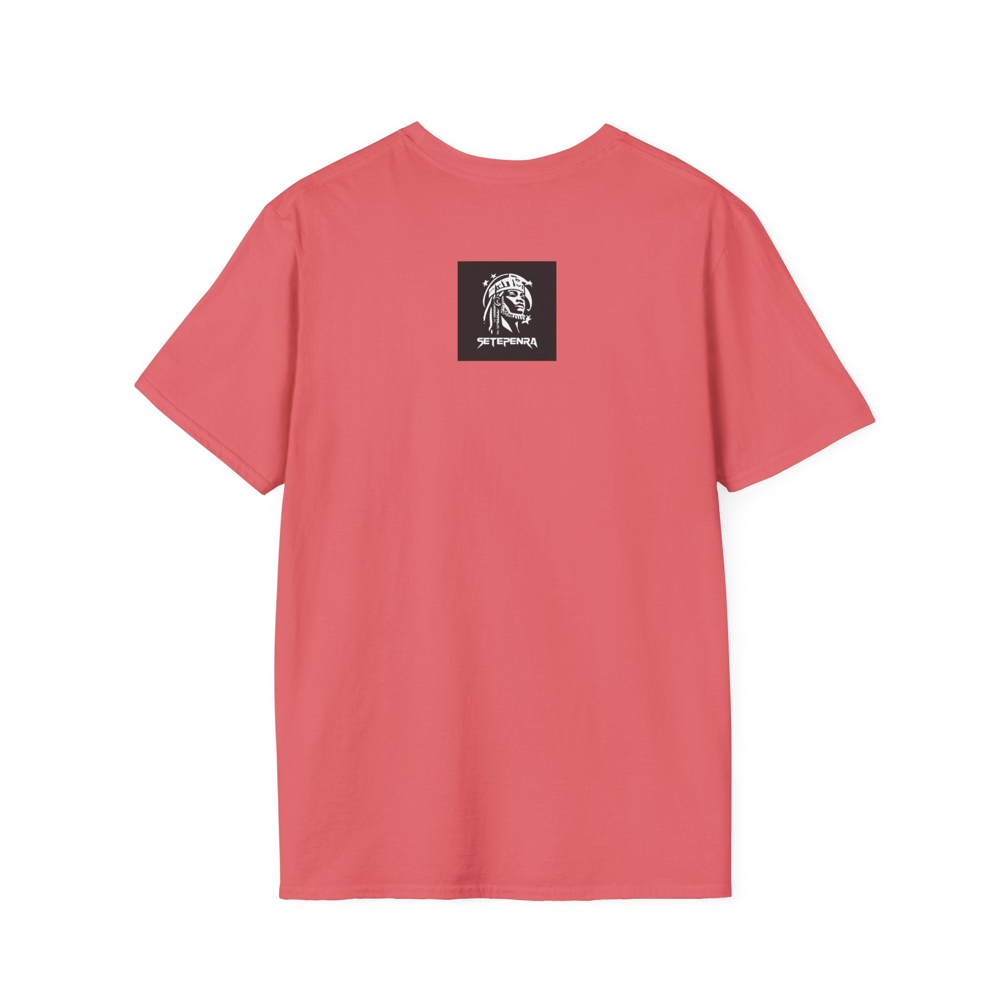 You Attract What You Are (1st Edition) Unisex Softstyle T-Shirt SETEPENRA T-Shirt.