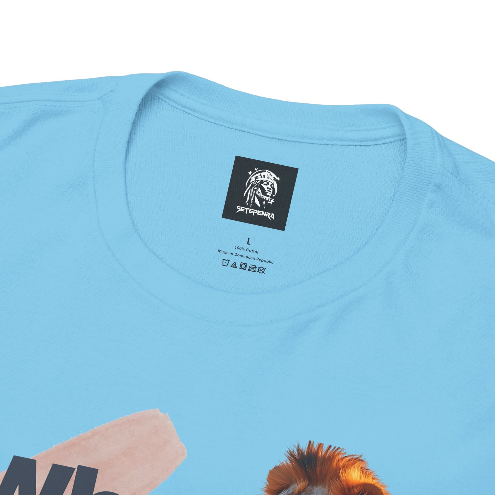 What You Focus On You Become Unisex Heavy Cotton Tee