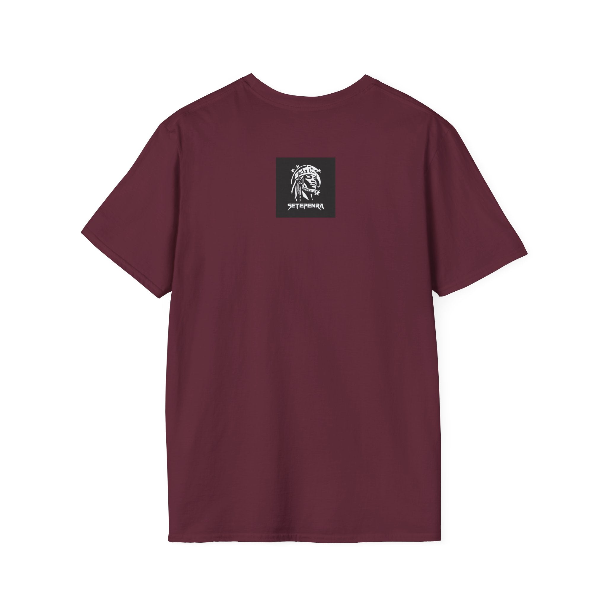 You Attract What You Are (2nd Edition) Unisex Softstyle T-Shirt