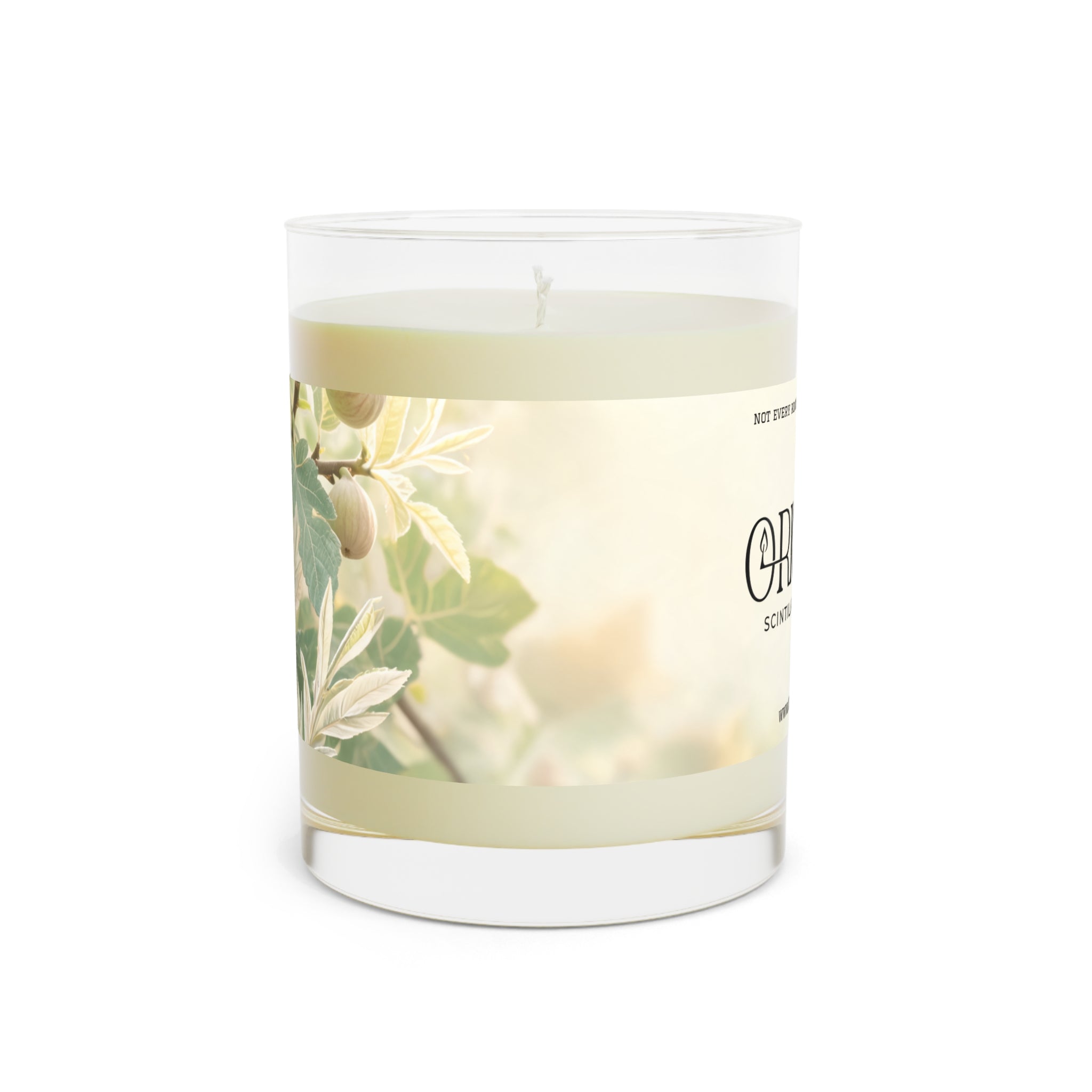 Origjyn Scintillating Scents 11oz Glass Scented Candle – Full Glass, Luxury Home Fragrance