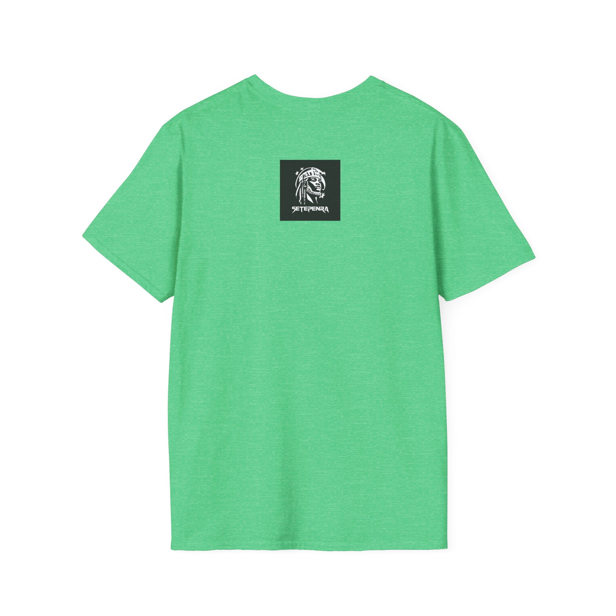 You Attract What You Are (1st Edition) Unisex Softstyle T-Shirt