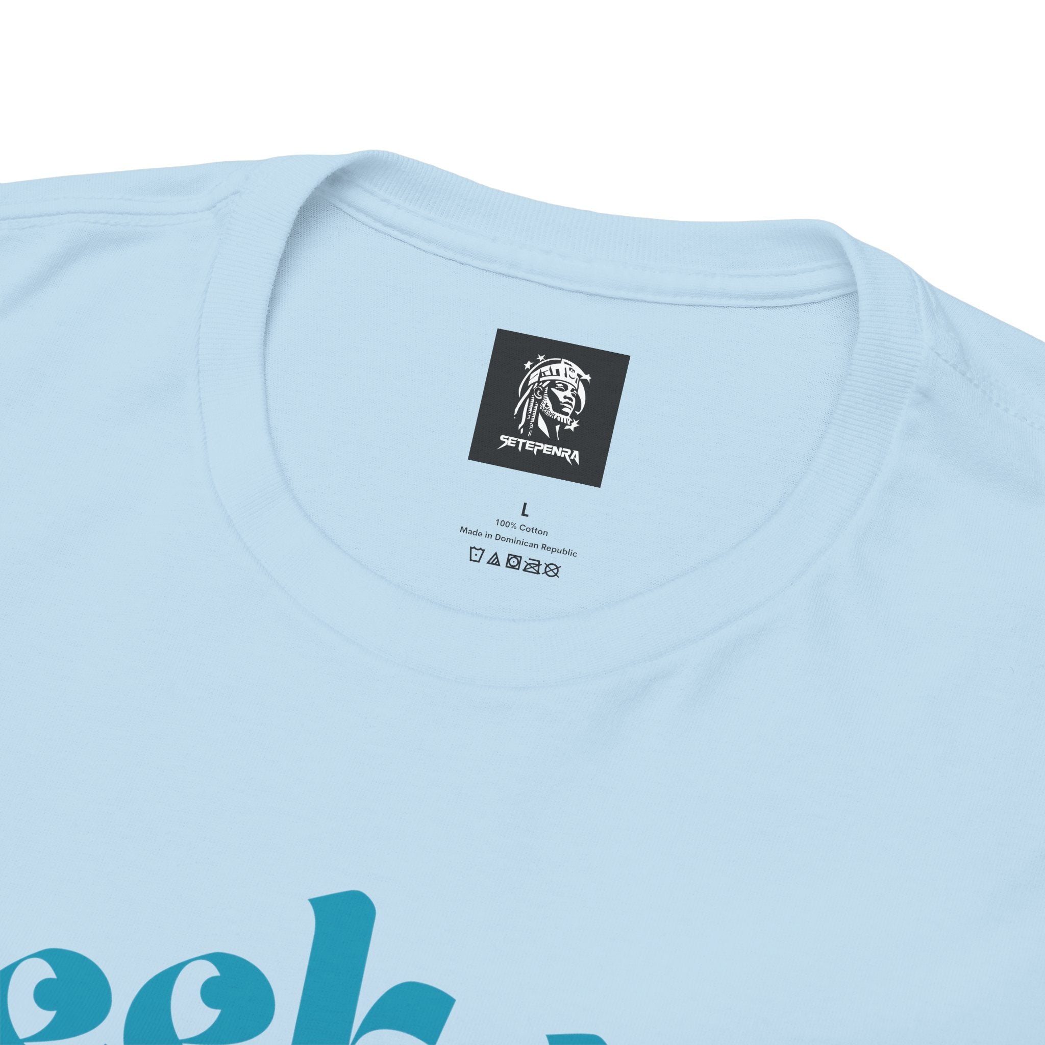 Seek Not Elsewhere (Aqua Edition) Unisex Heavy Cotton Tee