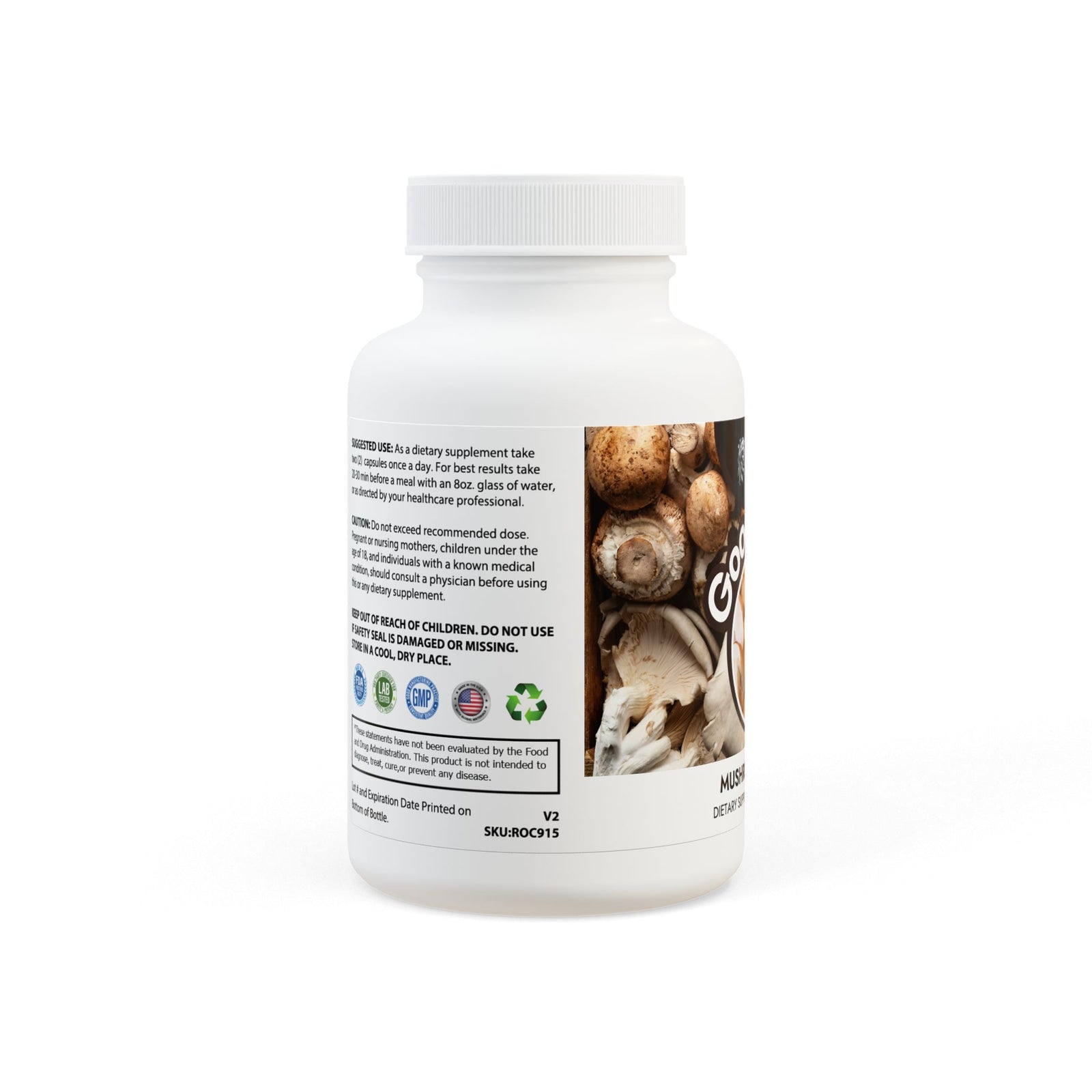 SETEPENRA Goodstuff Mushroom Blend Supplement (60 Capsules) SETEPENRA Food Supplements.