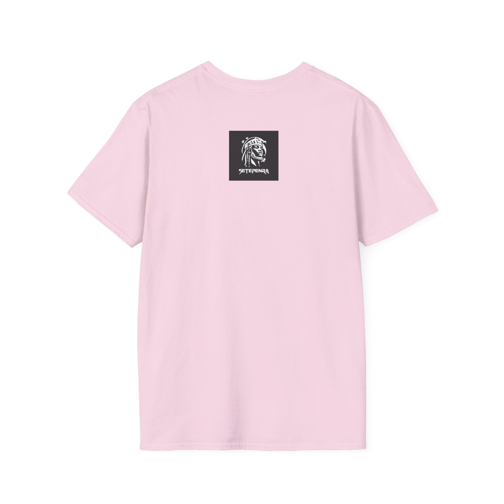 You Attract What You Are (2nd Edition) Unisex Softstyle T-Shirt