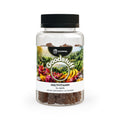 SETEPENRA Goodstuff Multivitamin Gummies for Adults (60 Gummies) SETEPENRA Food Supplements.