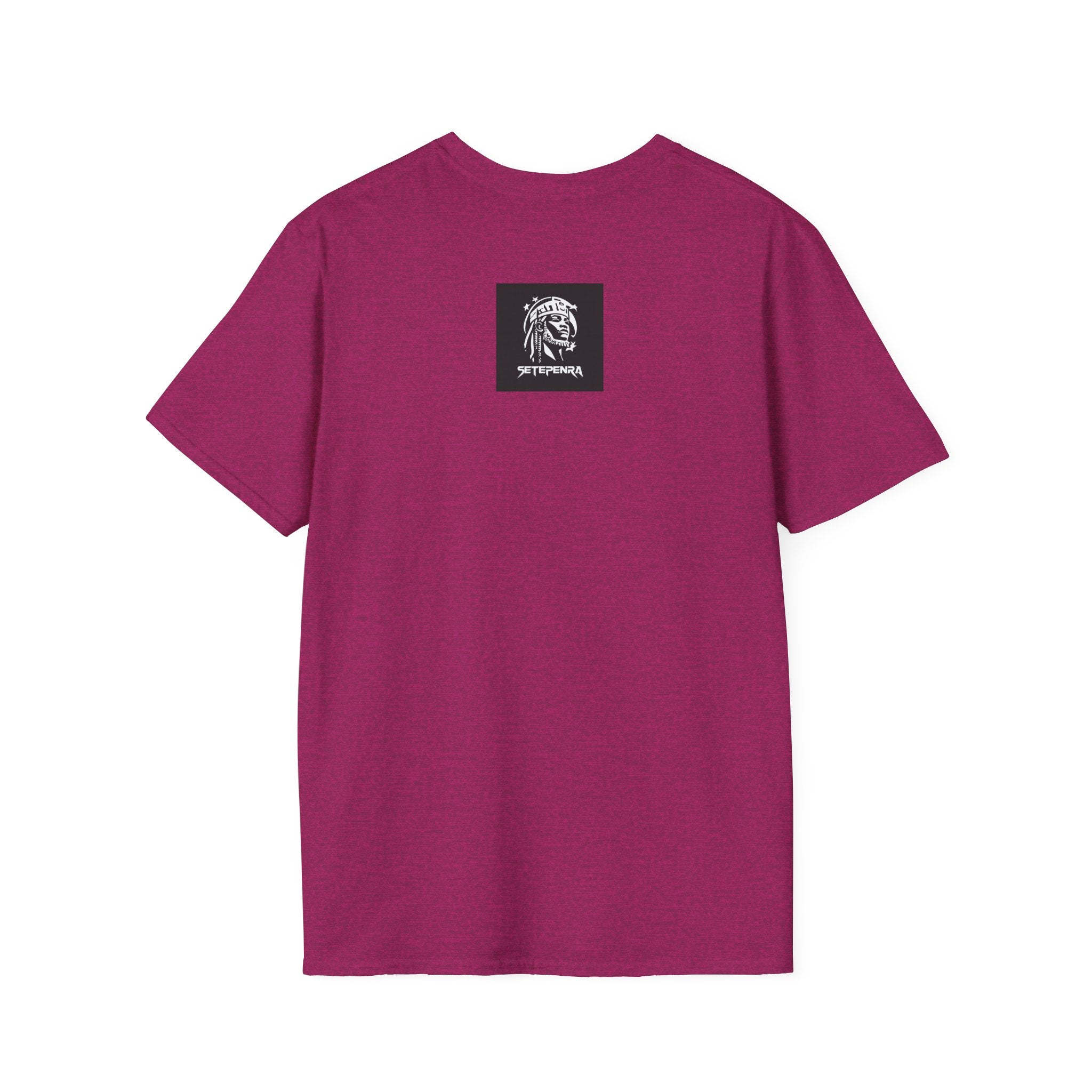 You Attract What You Are (1st Edition) Unisex Softstyle T-Shirt