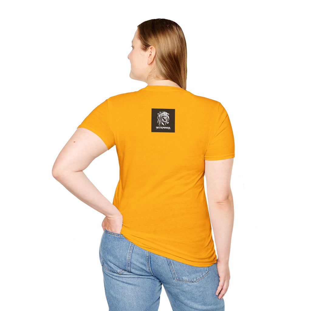 You Attract What You Are (1st Edition) Unisex Softstyle T-Shirt