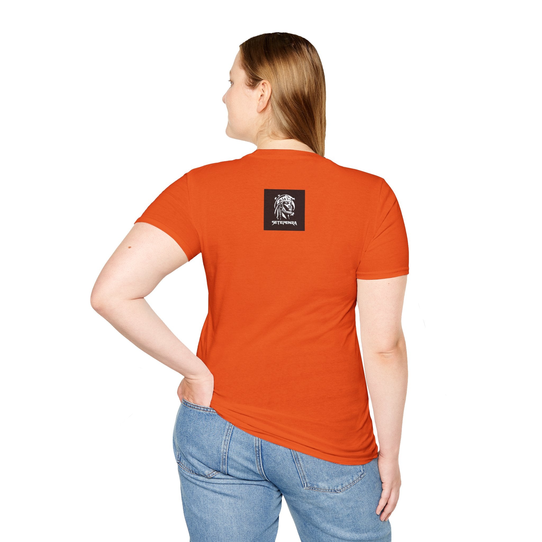 You Attract What You Are (1st Edition) Unisex Softstyle T-Shirt